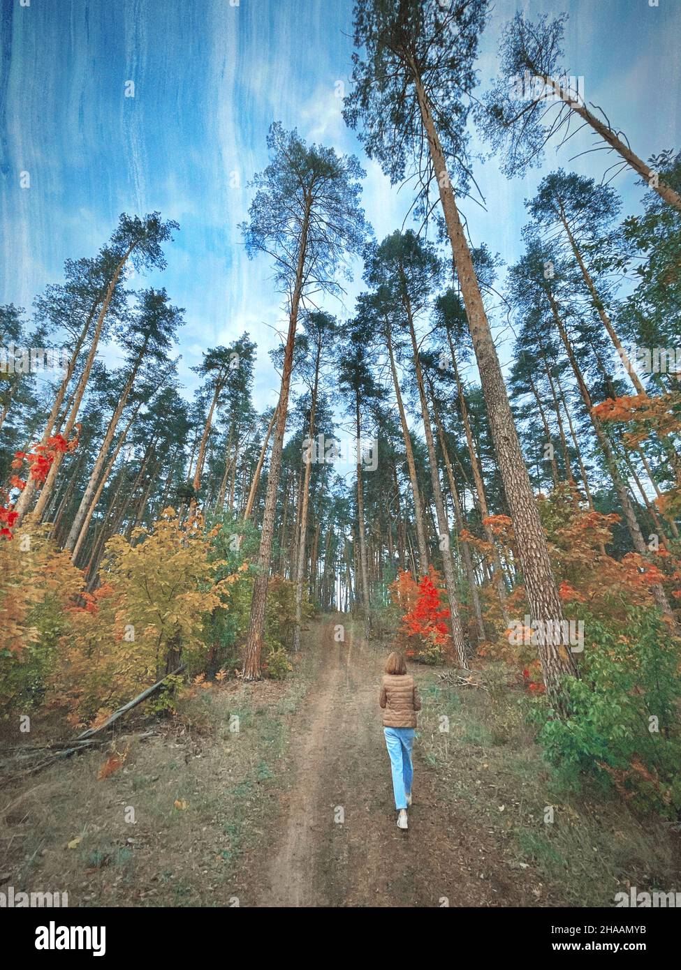 Forêt magique avec des couleurs vives et une fille Banque D'Images