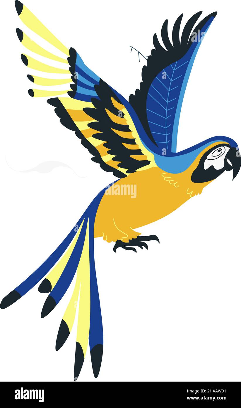 Indigo Macaw volant oiseau exotique ou perroquet vecteur Illustration de Vecteur