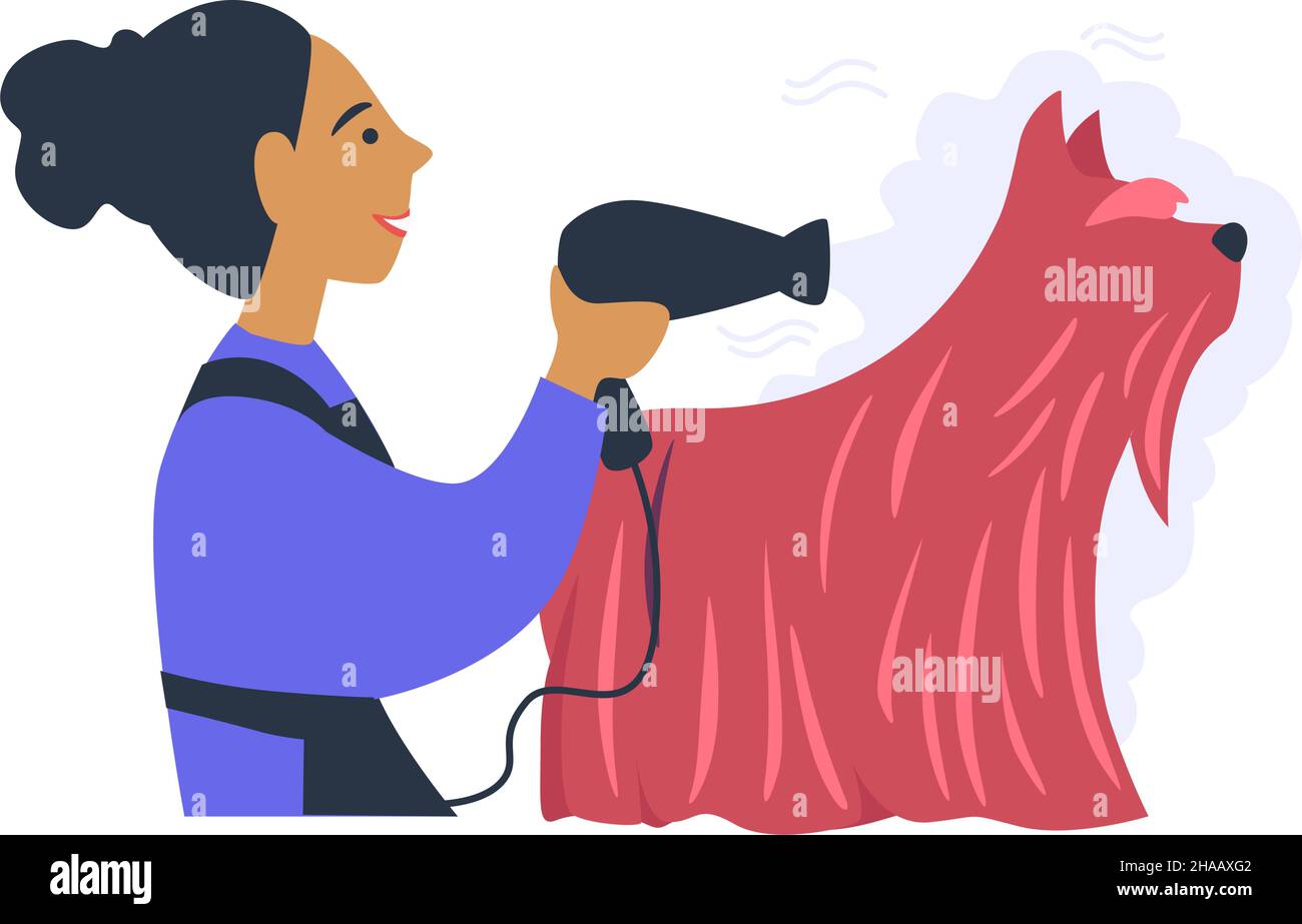 Soins pour les animaux de compagnie, hygiène et toilettage des chiens vecteur Illustration de Vecteur