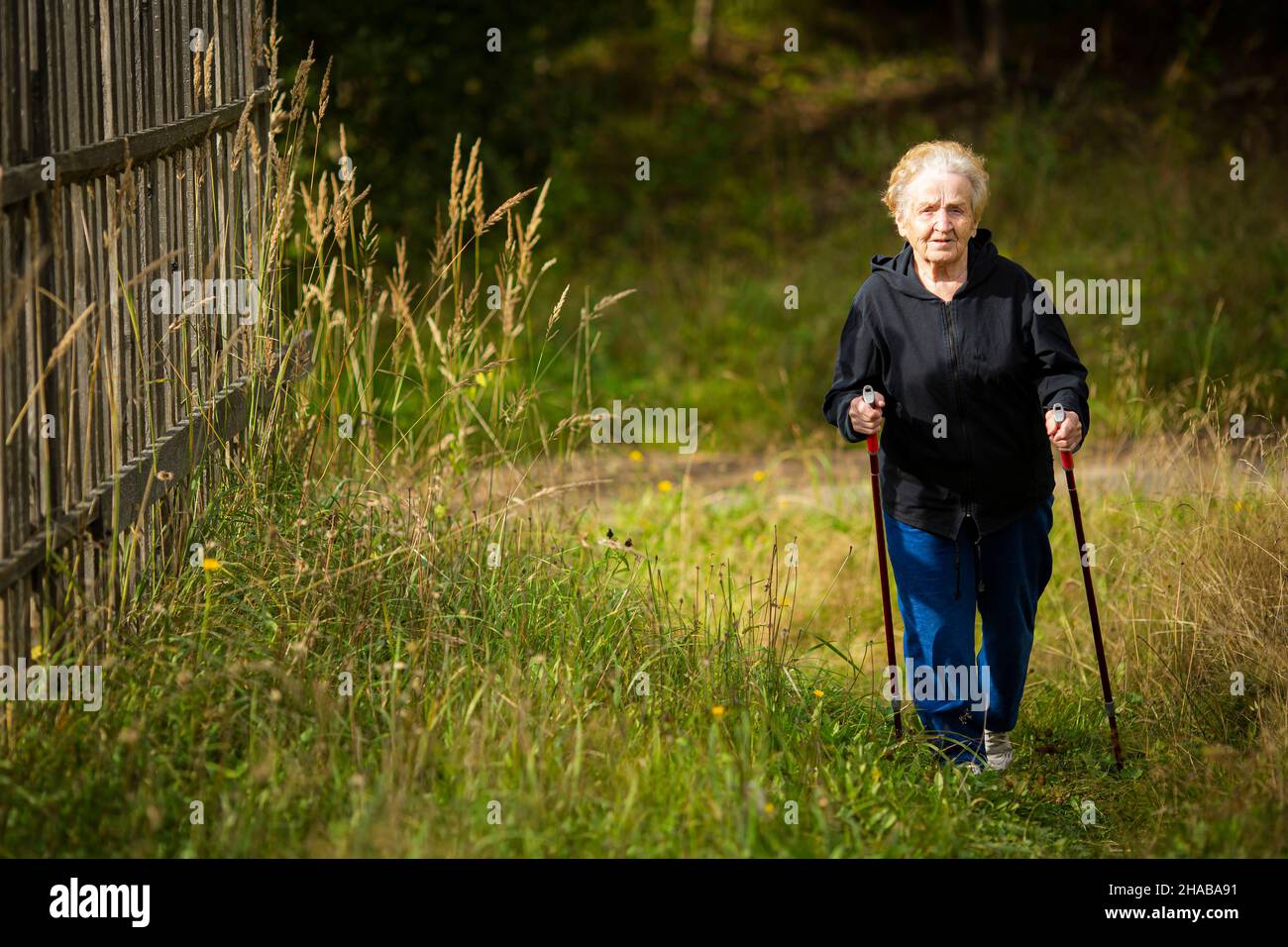 Une femme âgée marche avec des bâtons, pratiquant la marche nordique dans la campagne. Banque D'Images