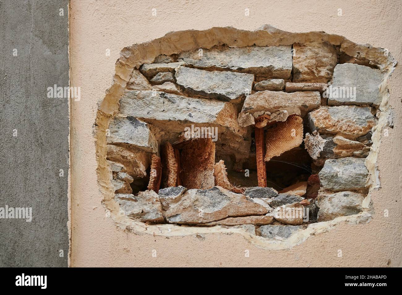 Nid d'abeille créé dans un trou dans une paroi Banque D'Images
