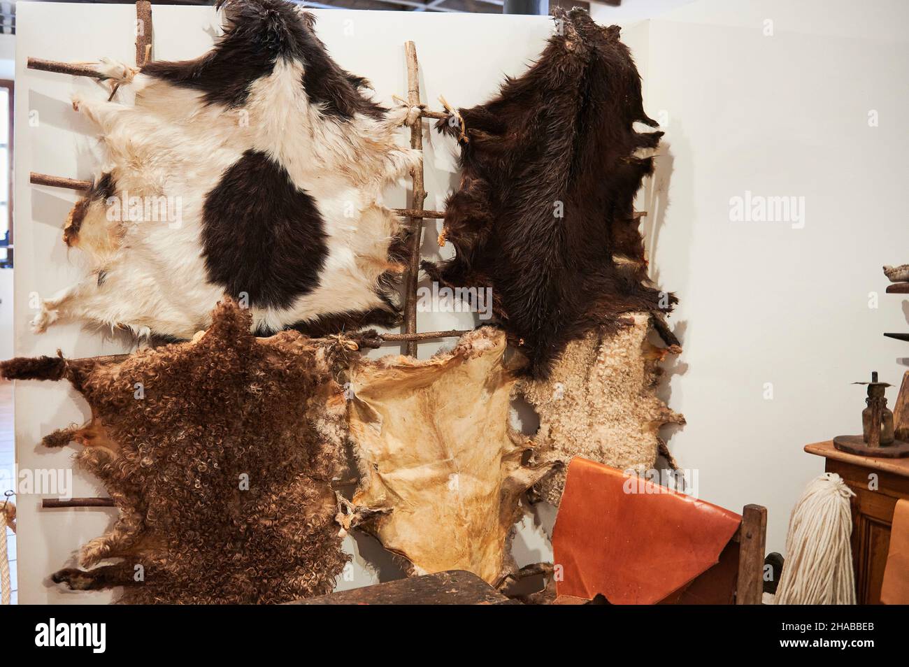 Différents types de peau d'animaux exposés dans le musée ethnographique d'Artziniega, Alava, pays basque, Euskadi, Euskal Herria,Espagne, Europe Banque D'Images