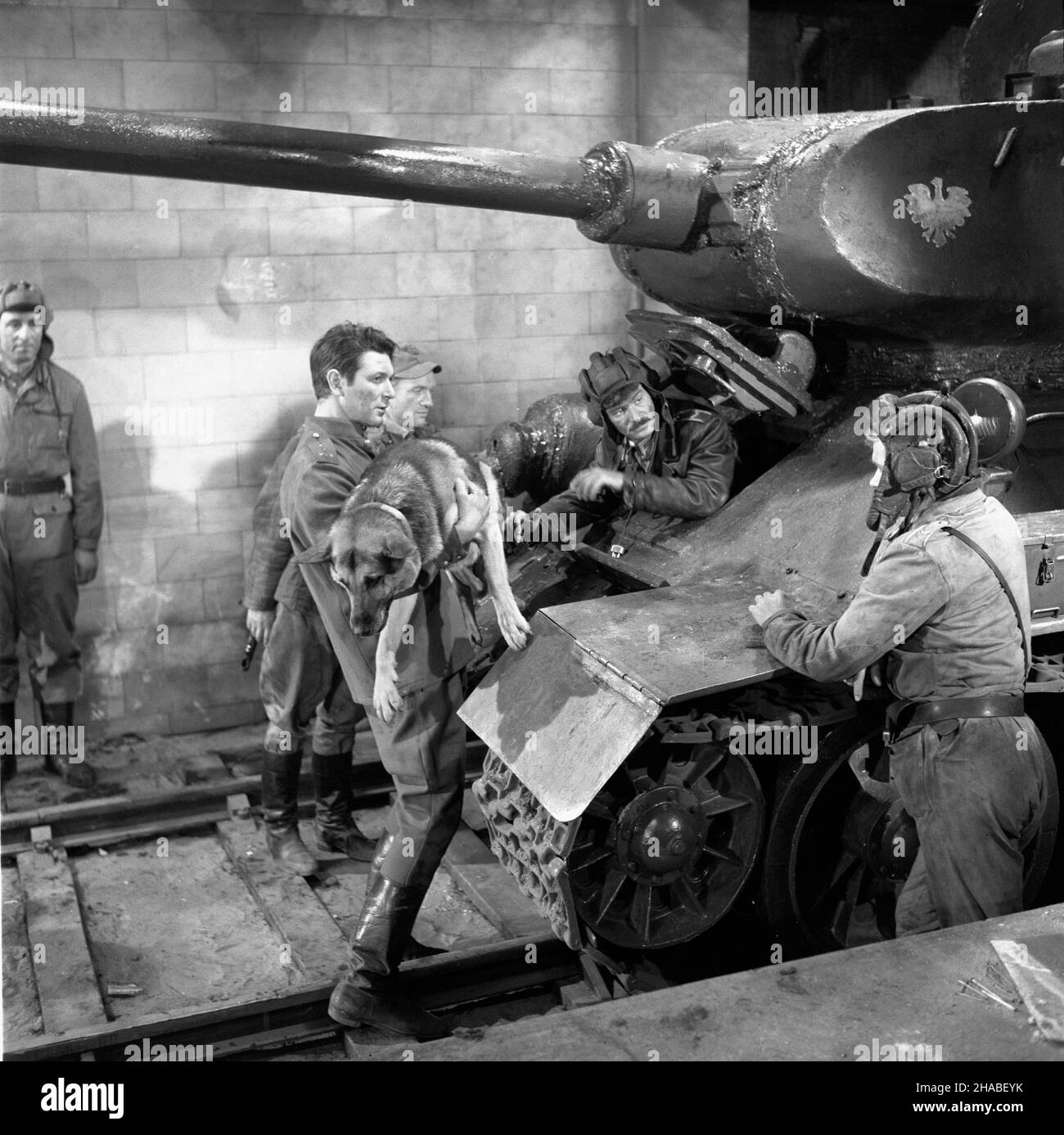 Polska, 1969.Série: Czterej pancerni i pies zrealizowany na podstawie ksi¹¿ki i scenariusza Janusza Przymanowskiego przedstawia³ wojenne losy za³ogi czo³gu Rudy i psa Szarika.Série by³ krêcony W latach 1966-1970 W trzech seriach.Wszystkie 21 odcinków serialu wyre¿yserowa³ Konrad Na³êcki.W mêskich rolach g³ównych (za³oga) wyst¹pili : Roman Wilhelmi (Olgierd Jarosz), Franciszek Pieczka (Gustaw Jeleñ – Gustalik), Janusz Gajos (Jan Kos - Janek), W³odzimierz Press (Gregorij Saakaszwili - Grzeœ), Wies³aw Go³as (Tomasz Czereœniak – Tomuœ).G³ówne rôle kobiece interpretowa³y: Pola Raksa (Marusia) Banque D'Images