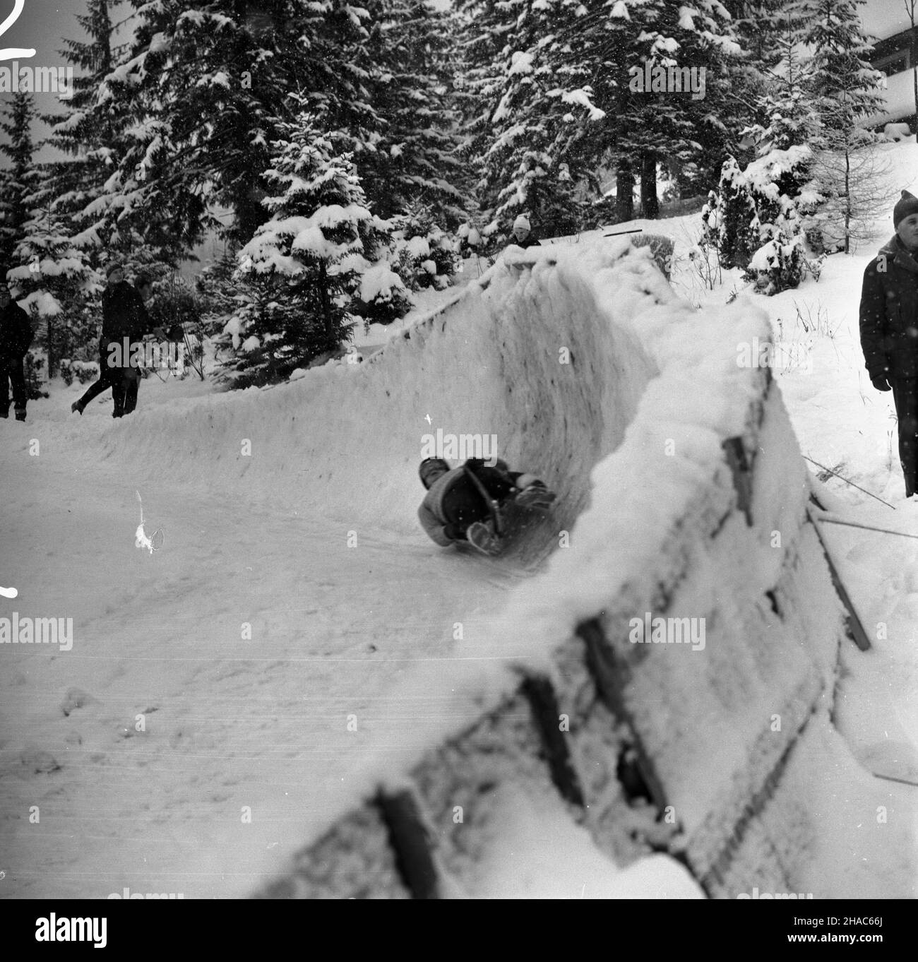 Zakopane, 1969-12-03.OD 2 XII 1969 r. kadra polskich saneczkarzy (seniorów i juniorów), pods kierunkiem Ryszarda Gurbowicza, trenowa³a na sztucznym torze, usypanym przez samych zawodników pods Krokwi¹.NZ.œlizg zawodnika na torze. pw PAP/Tadeusz OlszewskiZakopane, 3 décembre 1969.Depuis le 2 décembre 1969, les équipes de luger polonais, senior et junior, ont fait des exercices sous la direction de Ryszard Gurbowicz sur la piste de luge artificielle faite par les concurrents près du saut de Krokwia.Photo : un luger pendant l'entraînement. pw PAP/Tadeusz Olszewski Banque D'Images