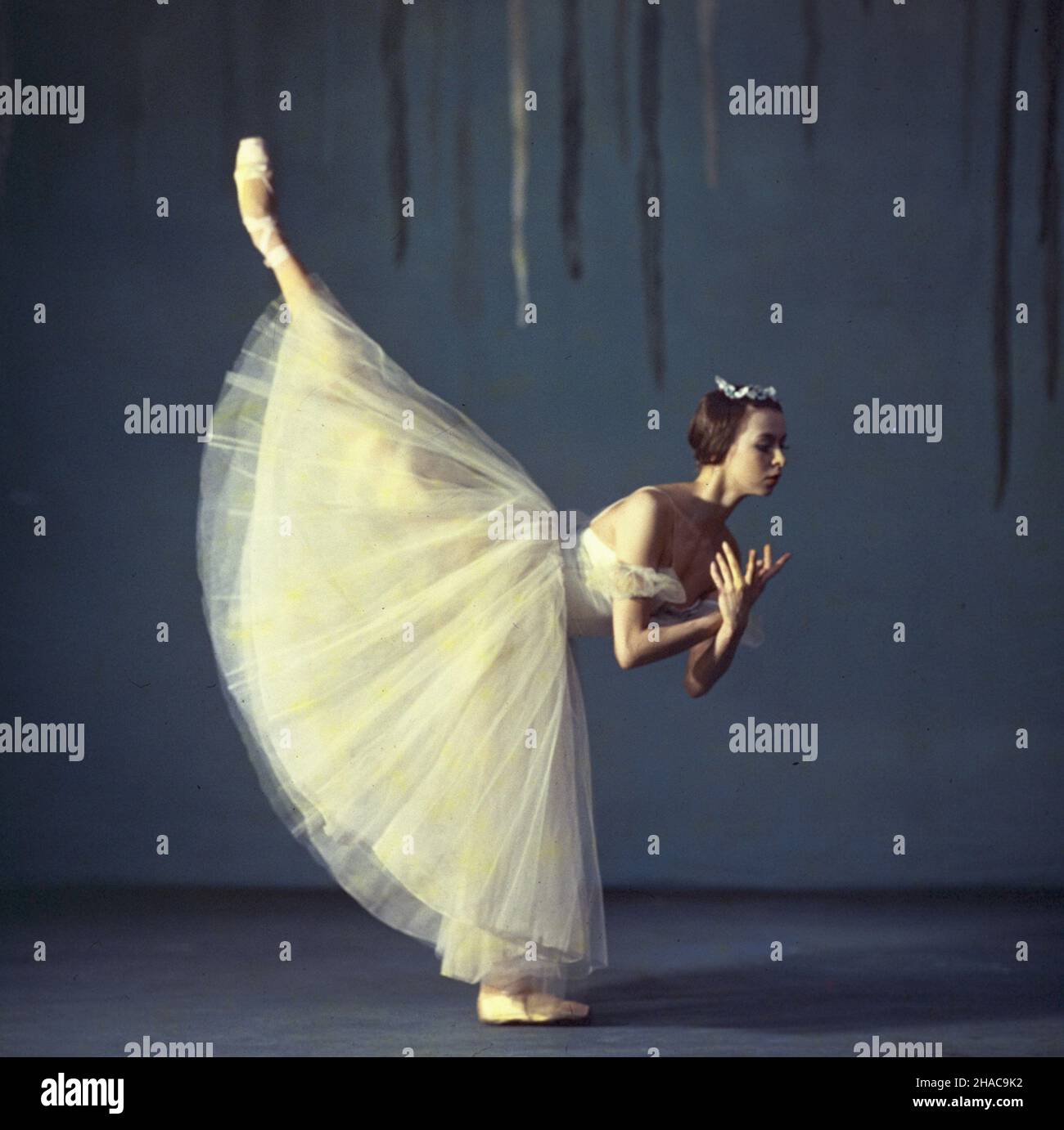 Ballerina soloist Banque de photographies et d'images à haute résolution -  Alamy