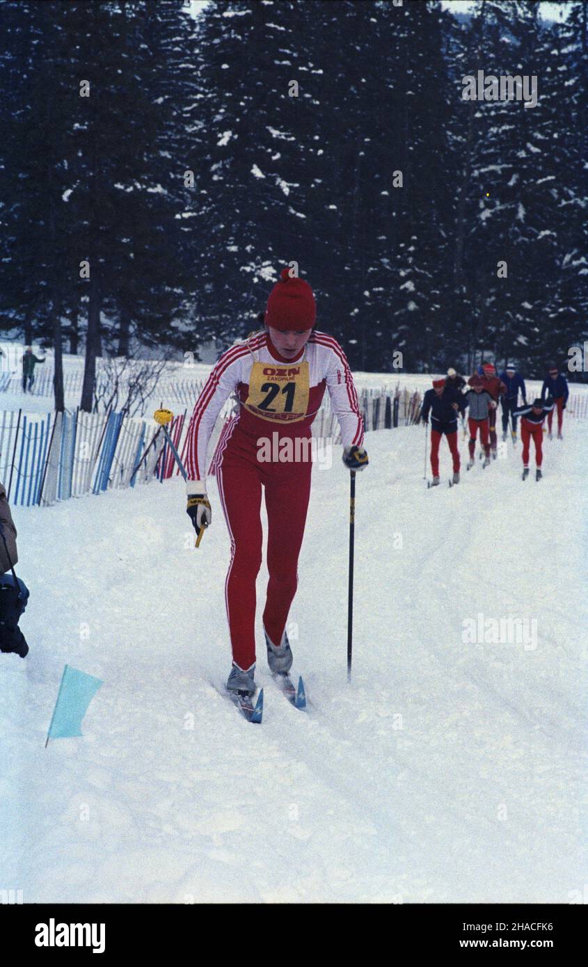 Zakopane 02,1984.Memoria³ Bronis³awa Cèchha i Heleny Marusarzówny.Zawody narciarskie rozgrywane corocznie od 1946 roku W Zakopanem. Js PAP/Jerzy Ochoñski Dok³adny dzieñ wydarzenia nieustalony.Zakopane février 1984.La piste de ski du Bronislaw Czech et Helena Marusarzowa Memorial en 1984.La compétition de ski a lieu chaque année depuis 1946 à Zakopane. Js PAP/Wojciech Krynski Date de l'événement inconnue. Banque D'Images