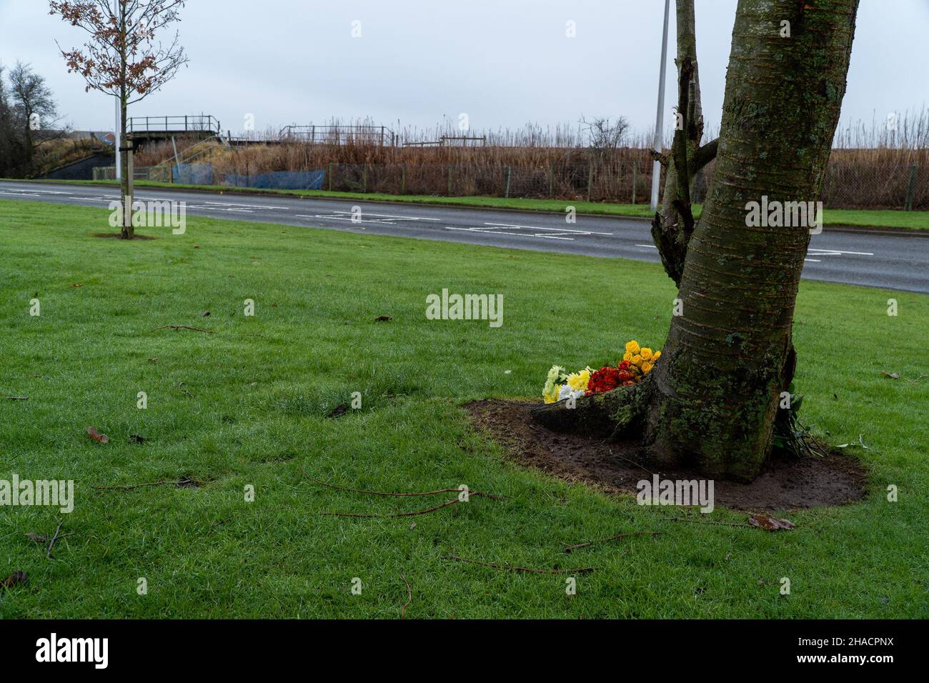 Newhame Rd, Montrose, Angus, Écosse, 12th décembre 2021 : photo :Les conséquences d'un RTC sérieux, qui a vu une marchette femelle tuée, suite à une voiture qui a perdu le contrôle sur le virage serré de Newhame Rd, montant la chaussée, frappant le marcheur femelle pour chiens, puis s'écrasant dans le remblai ferroviaire.Le RTC mortel s'est produit autour de 8,20pm le samedi 11th décembre 2021.Les marquages jaunes sur la route sont tirés de l'enquête de police, illustrant le chemin emprunté par la voiture.Les membres du public ont été vus pour déposer des fleurs dans une marque de respect pour la femme qui est décédée.Credit:Barry Nixon/Alamy Live News Banque D'Images