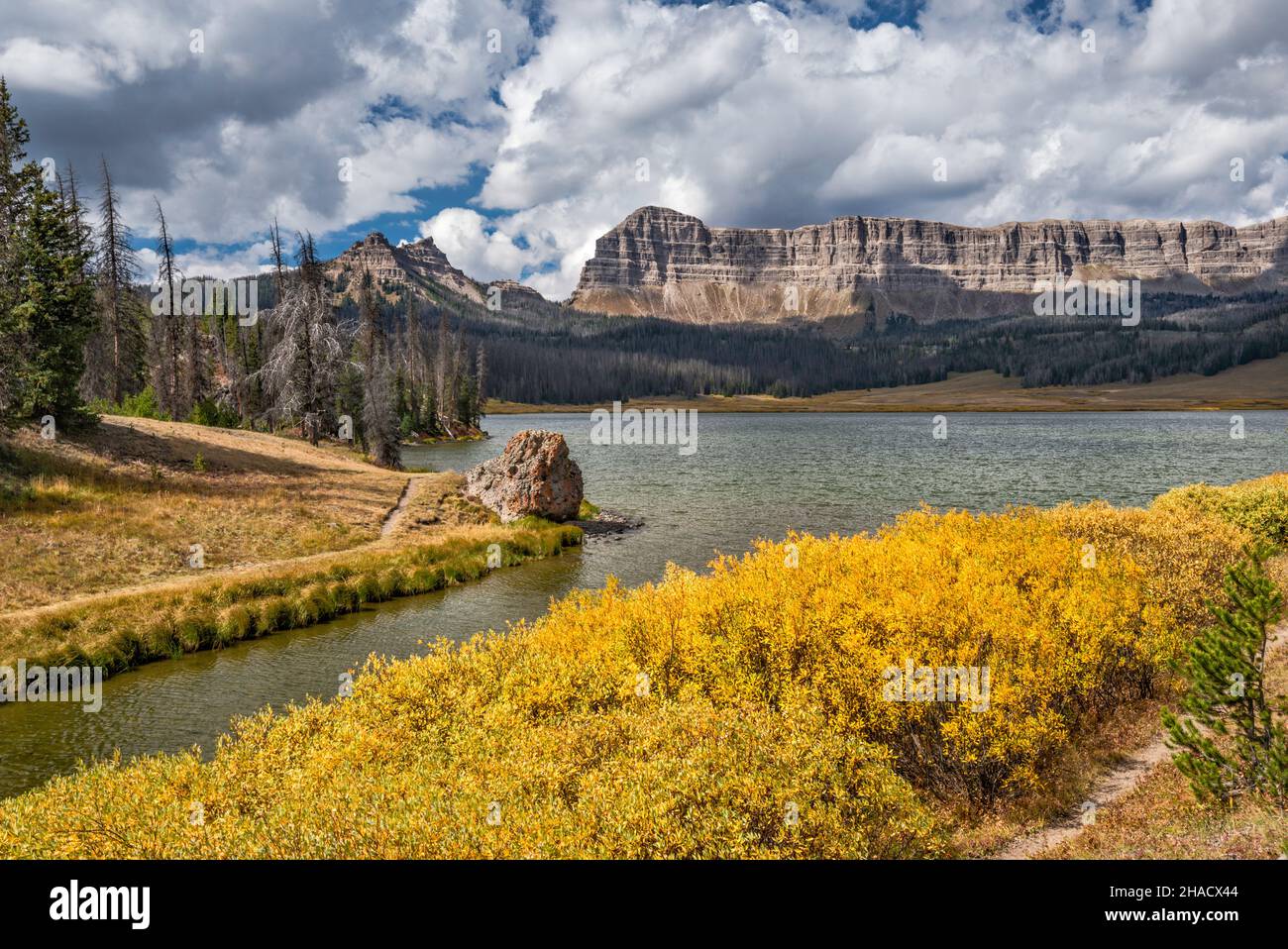 Falaises de breccia, pic de Sublette à gauche, buissons de couleur automnale au lac Brooks, chaîne d'Absaroka, montagnes Rocheuses, forêt nationale de Shoshone, Wyoming,ÉTATS-UNIS Banque D'Images