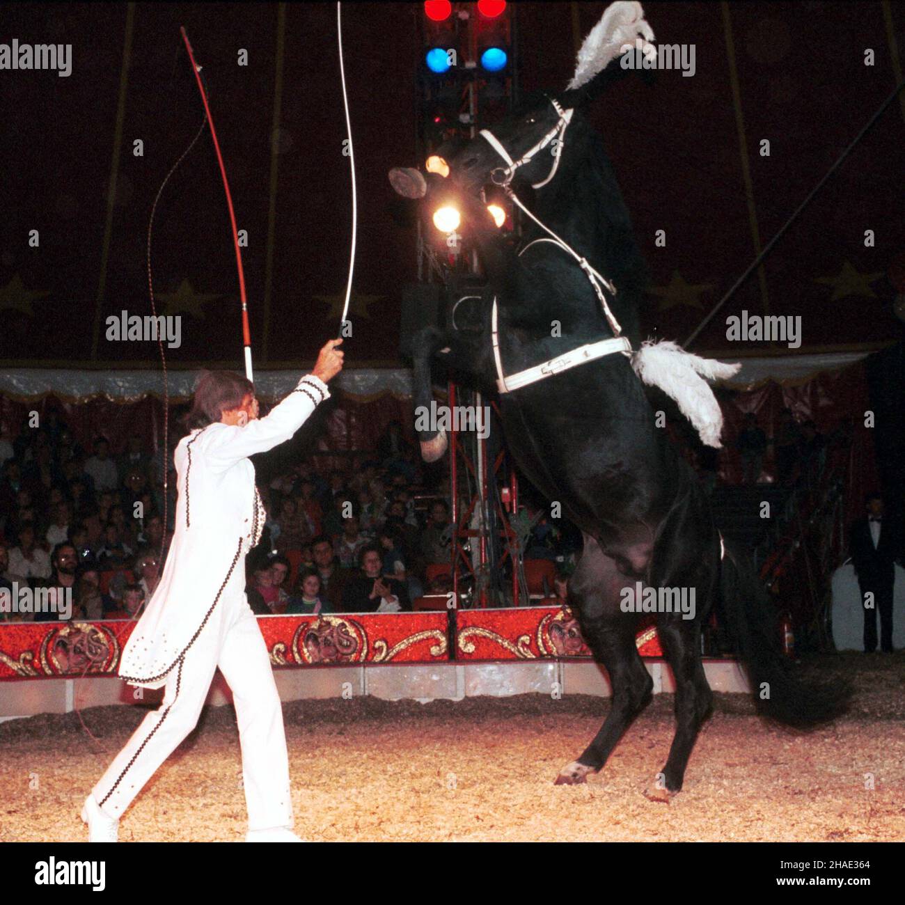 Varsovie, 27.09.1995.Treser trenuje konie W cyrku Merano W Warszawie.(kkk) PAP/Piotr Walczak Banque D'Images