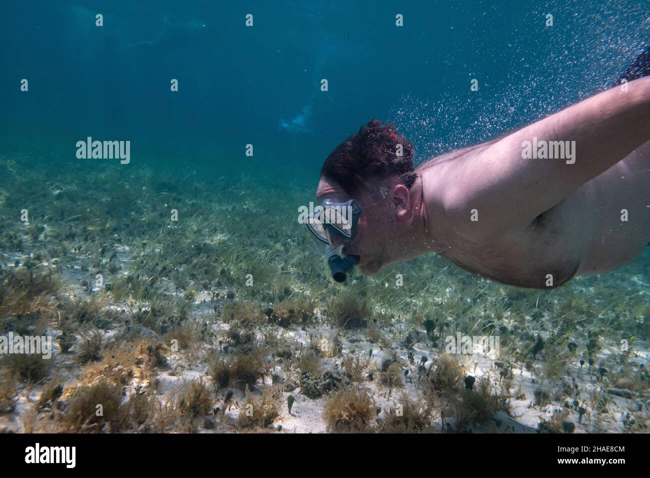 Photo sous l'eau d'un homme en apnée dans un océan tropical chaud Banque D'Images