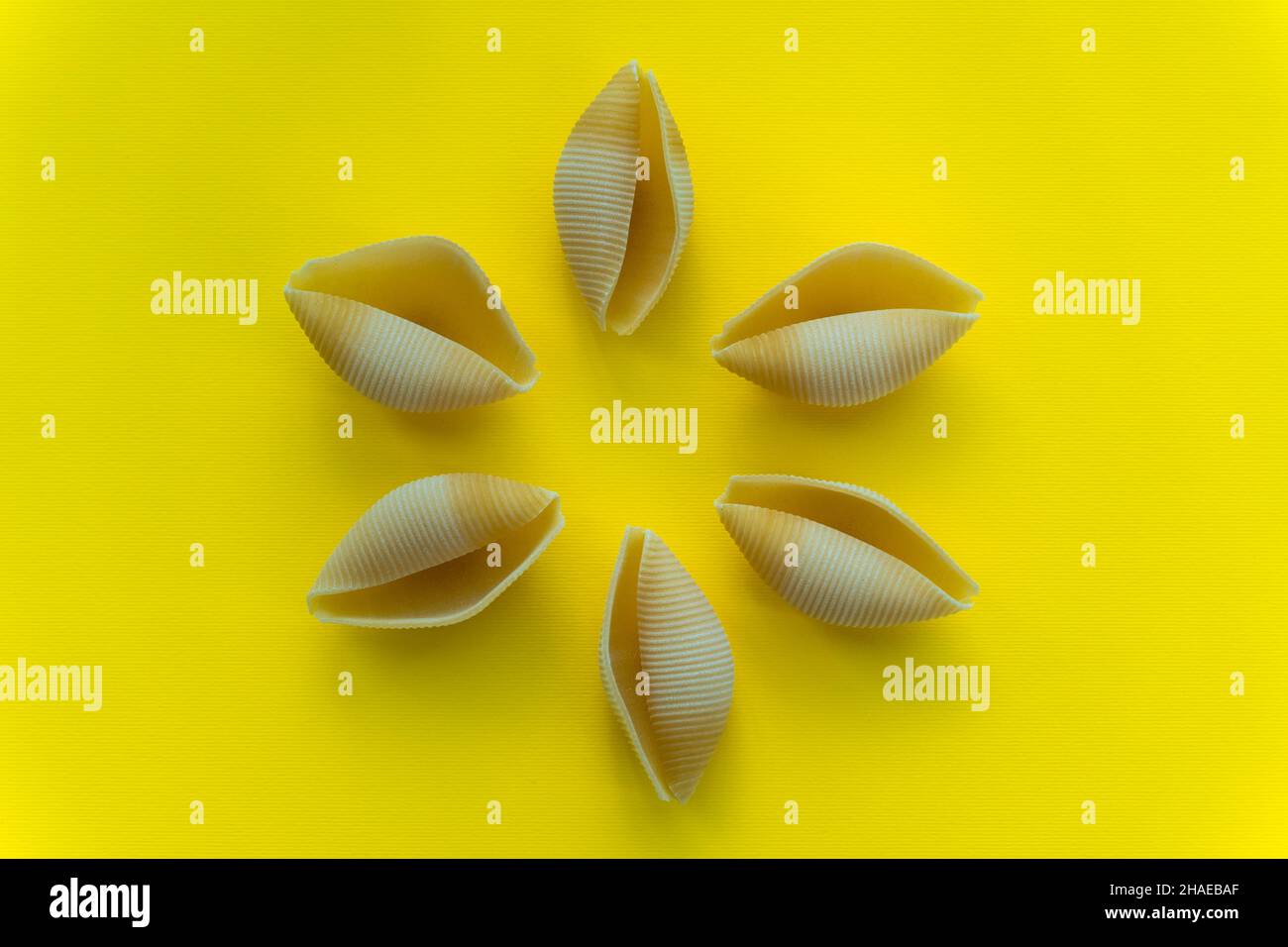 Grandes pâtes jaunes en forme de coquilles sur fond jaune. Banque D'Images