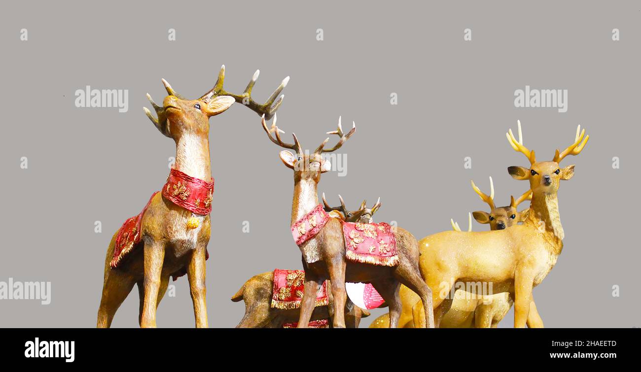 Cerf jouet isolé sur fond gris.Noël arrive bientôt Banque D'Images