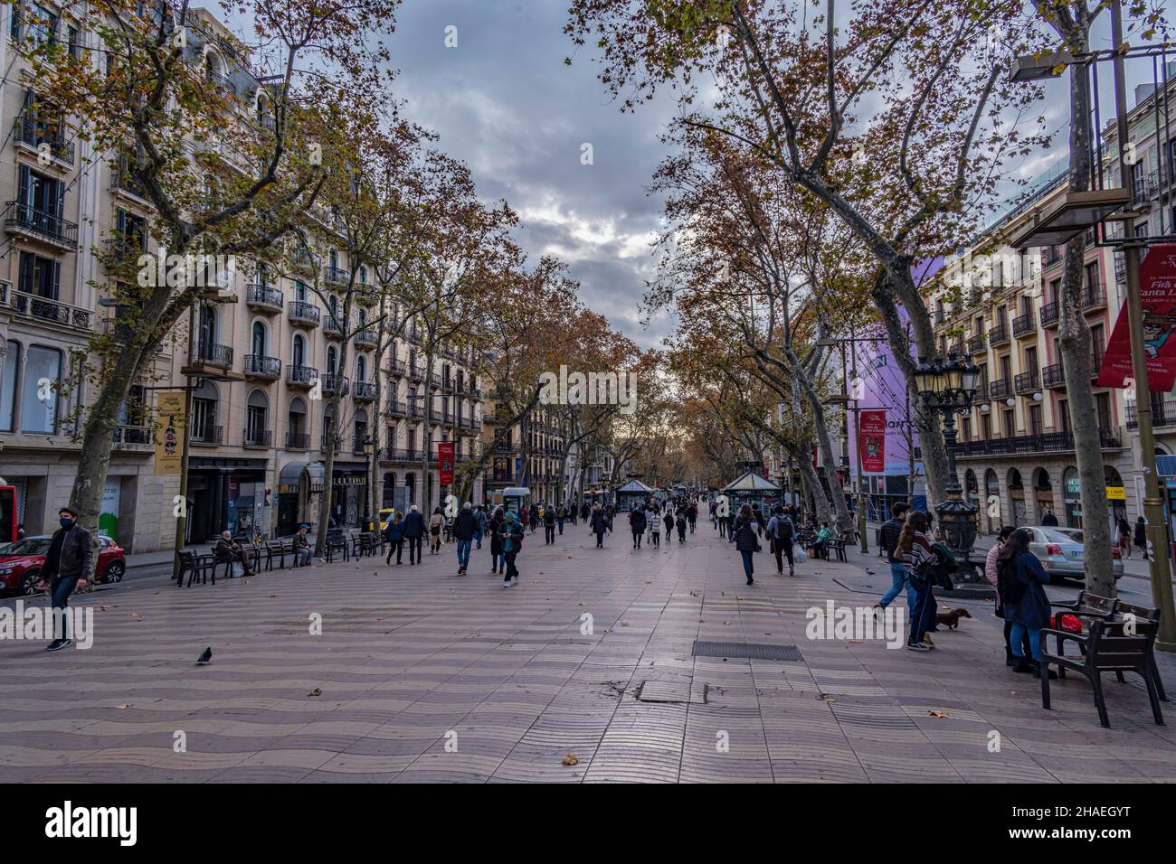 Las Ramblas, la promenade la plus populaire de Barcelone, Catalogne, Espagne. Banque D'Images