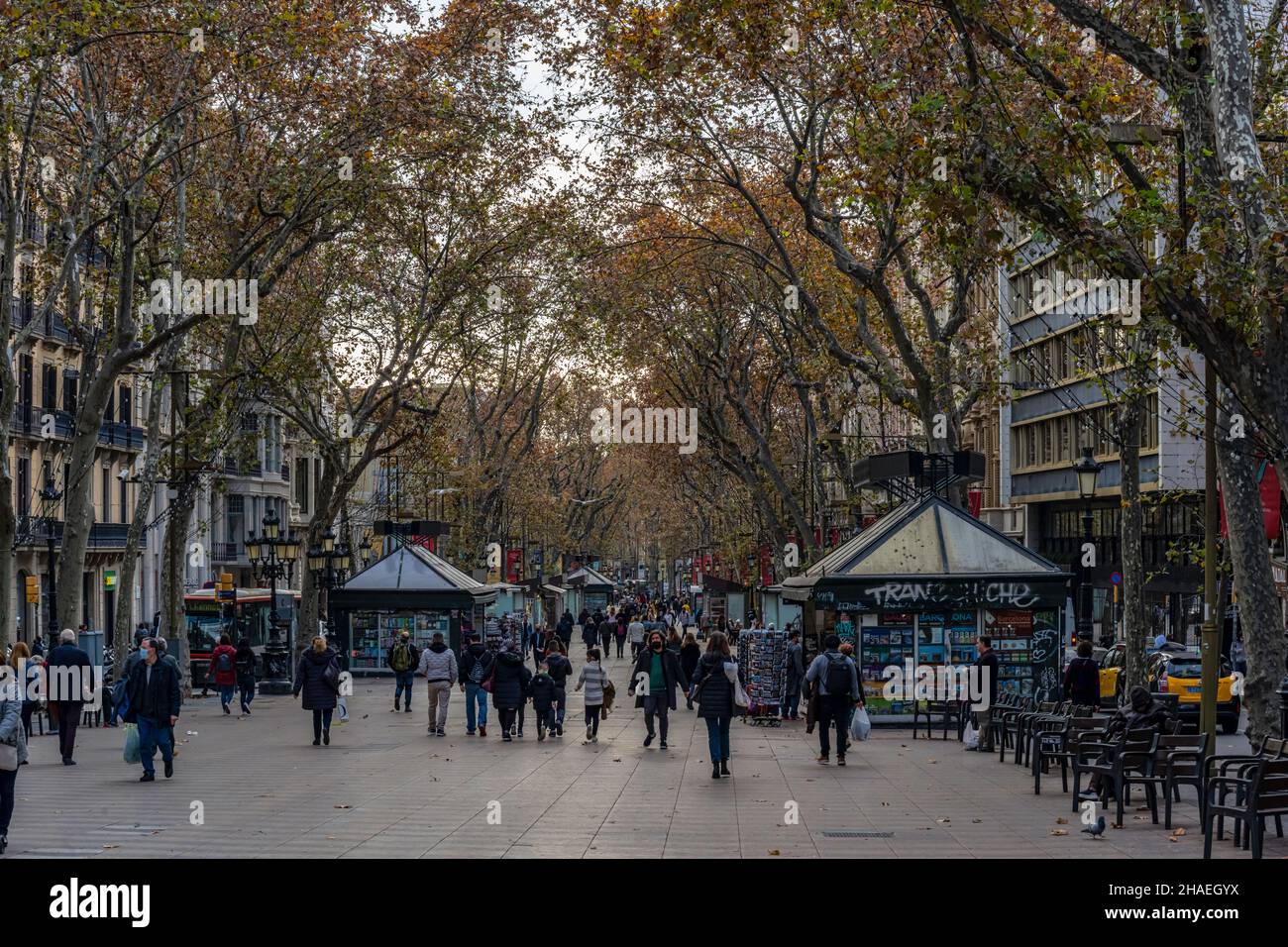 Las Ramblas, la promenade la plus populaire de Barcelone, Catalogne, Espagne. Banque D'Images