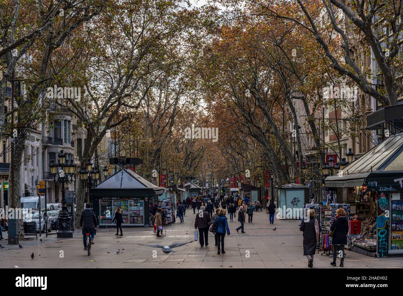 Las Ramblas, la promenade la plus populaire de Barcelone, Catalogne, Espagne. Banque D'Images