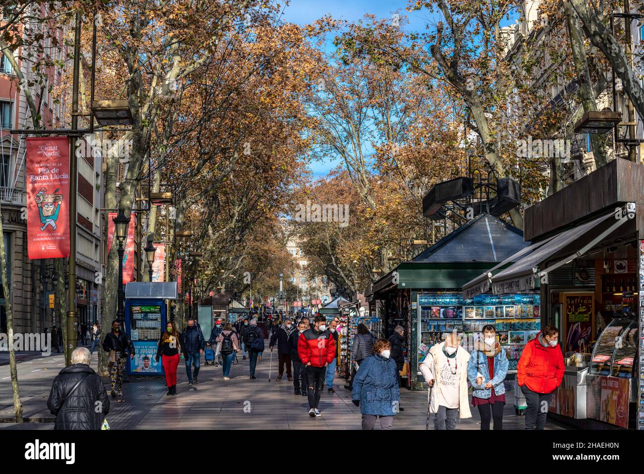 Las Ramblas, la promenade la plus populaire de Barcelone, Catalogne, Espagne. Banque D'Images