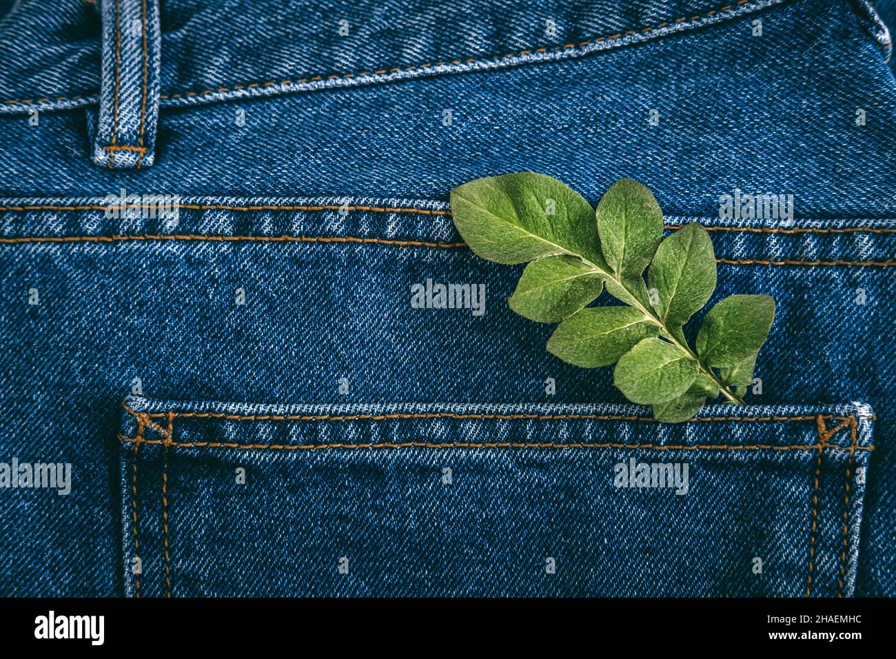 Mode durable, économie circulaire, vêtements écologiques en denim.Plante de  feuille verte sur fond bleu de Jean denim Photo Stock - Alamy