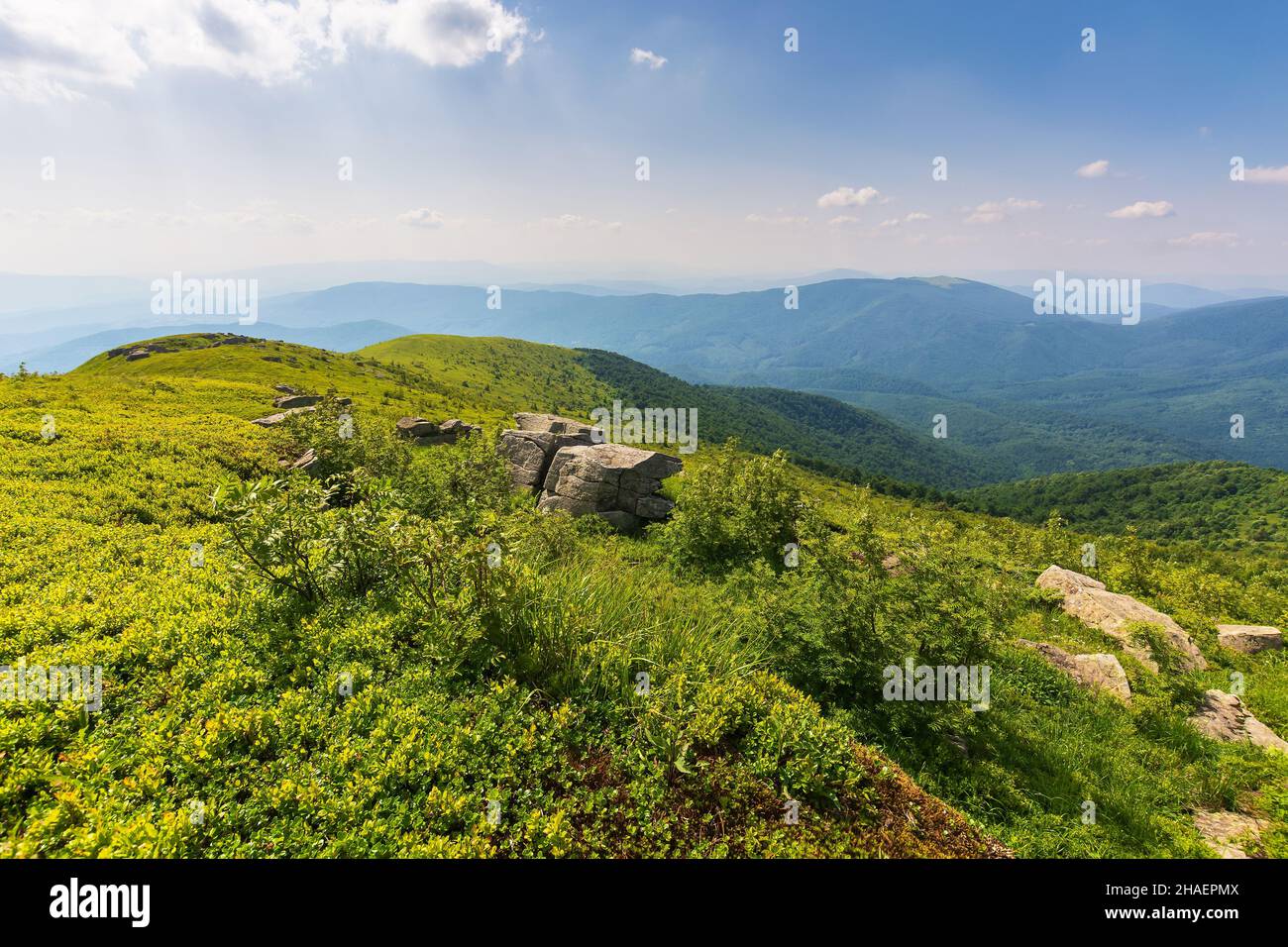 vallée de la montagne dans la lumière de l'après-midi. magnifique prairie alpine verte sous un ciel bleu avec des nuages moelleux. explorez le paysage de campagne carpatique en s. Banque D'Images