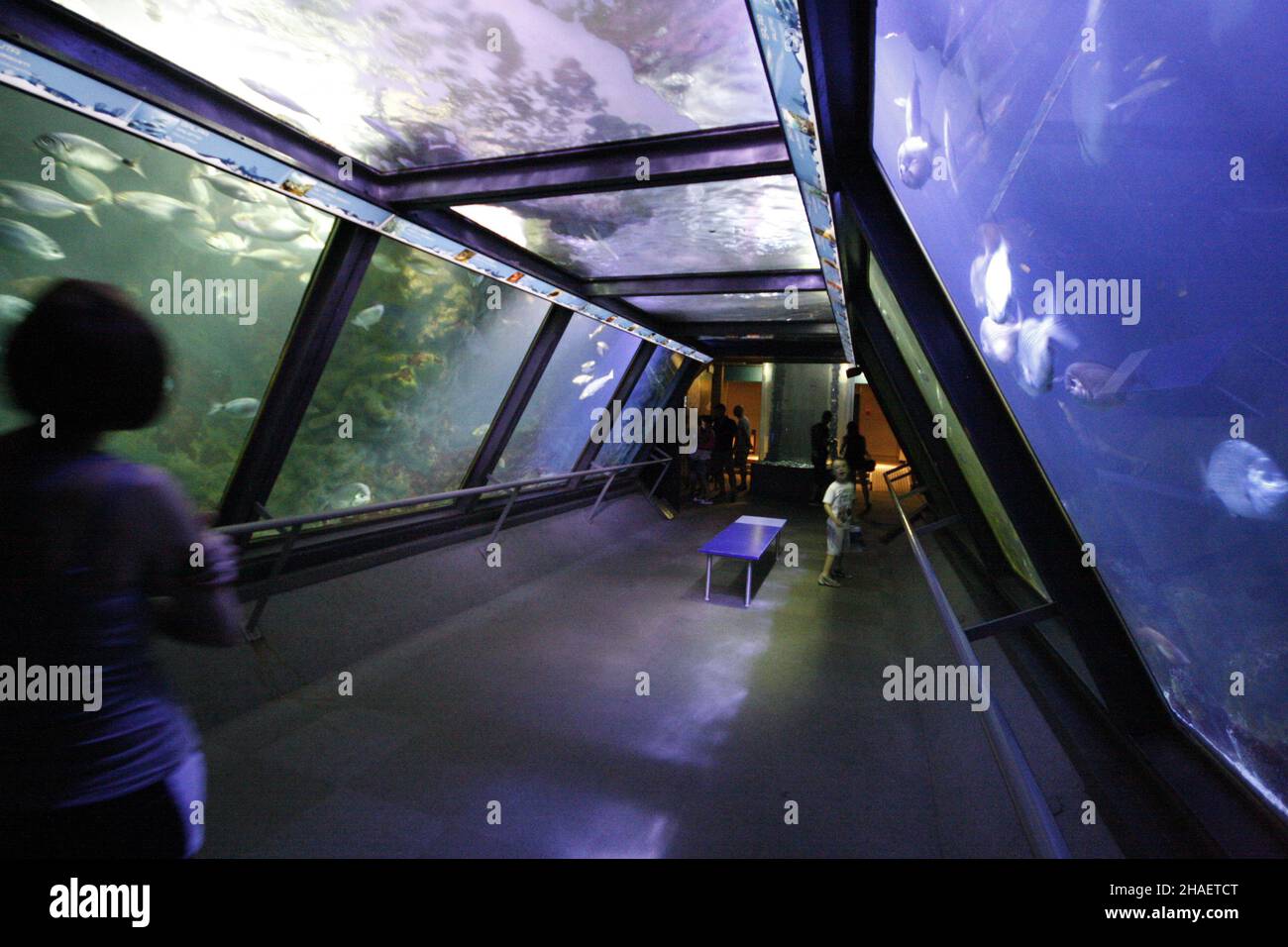 Belles photos de l'aquarium Cattolica, Emilia Romagna, Italie.Le Navi Aquarium à Cattolica Banque D'Images