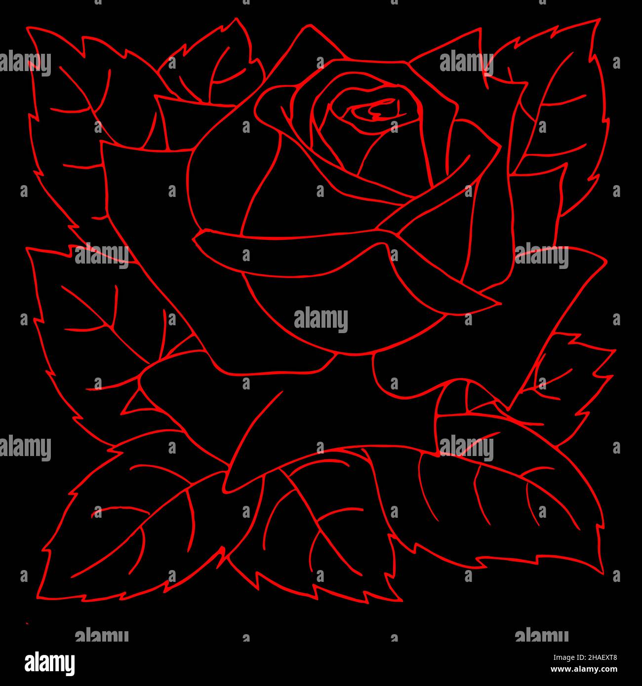 dessin d'une rose rouge sur fond noir Banque D'Images