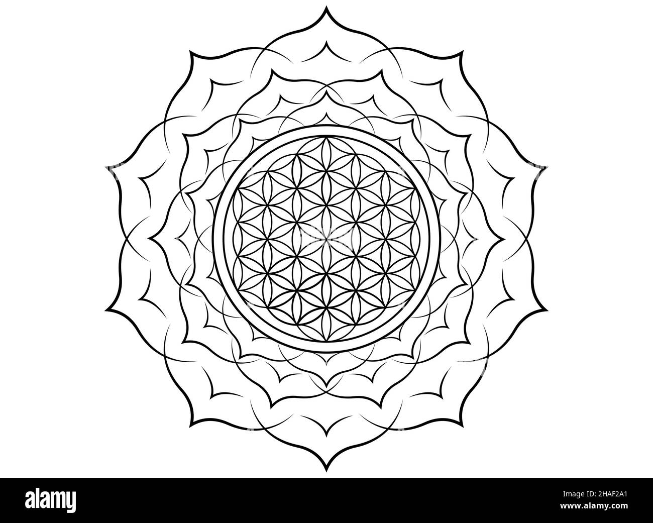 Fleur de vie, Yantra Mandala dans la fleur de lotus, géométrie sacrée.Tatouage imprimé noir symbole d'harmonie et d'équilibre.Talisman mystique, isolé Illustration de Vecteur