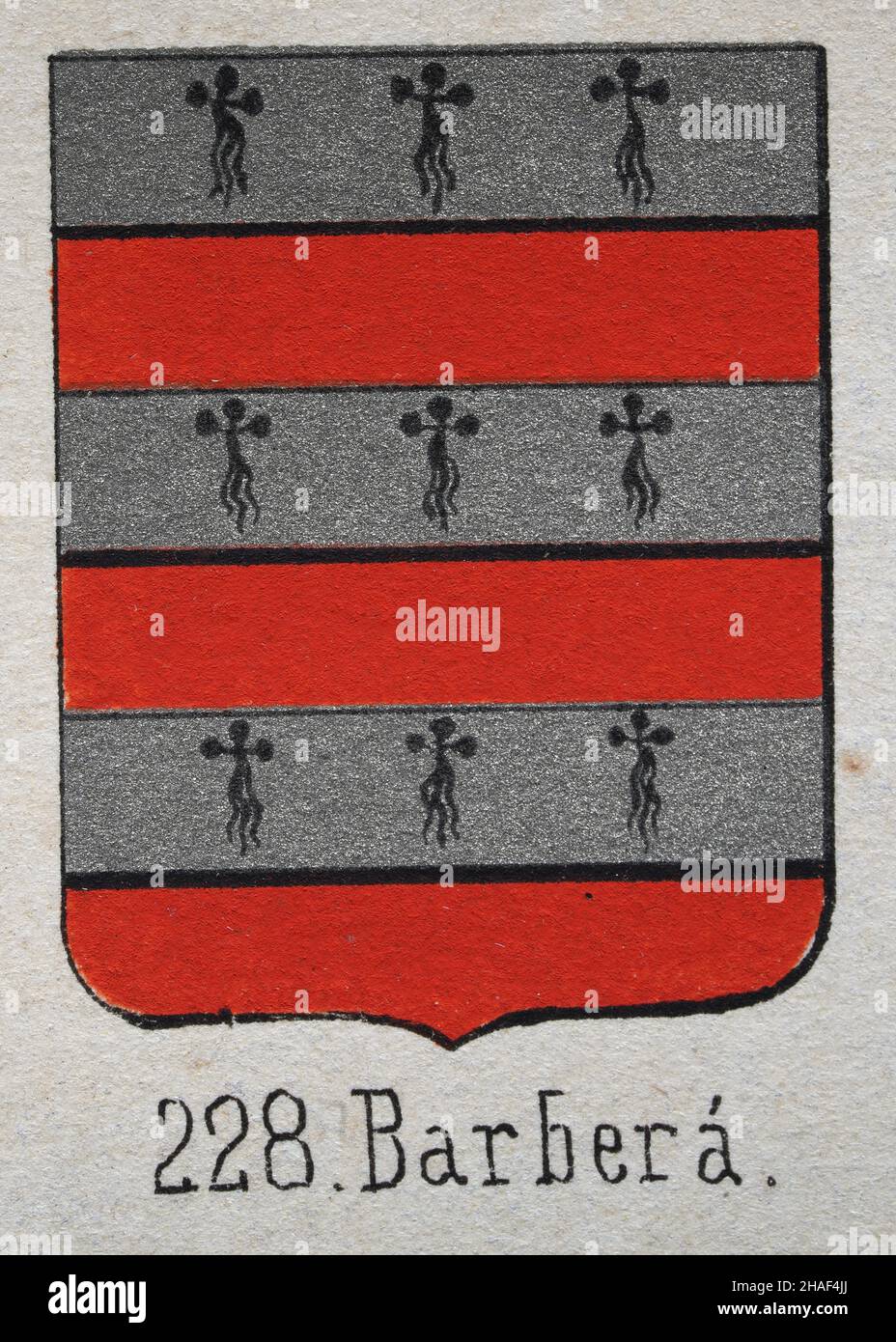 Barbera heraldry, illustration d'un blason, bandes rouge argent, symboles de bouclier héraldique Banque D'Images