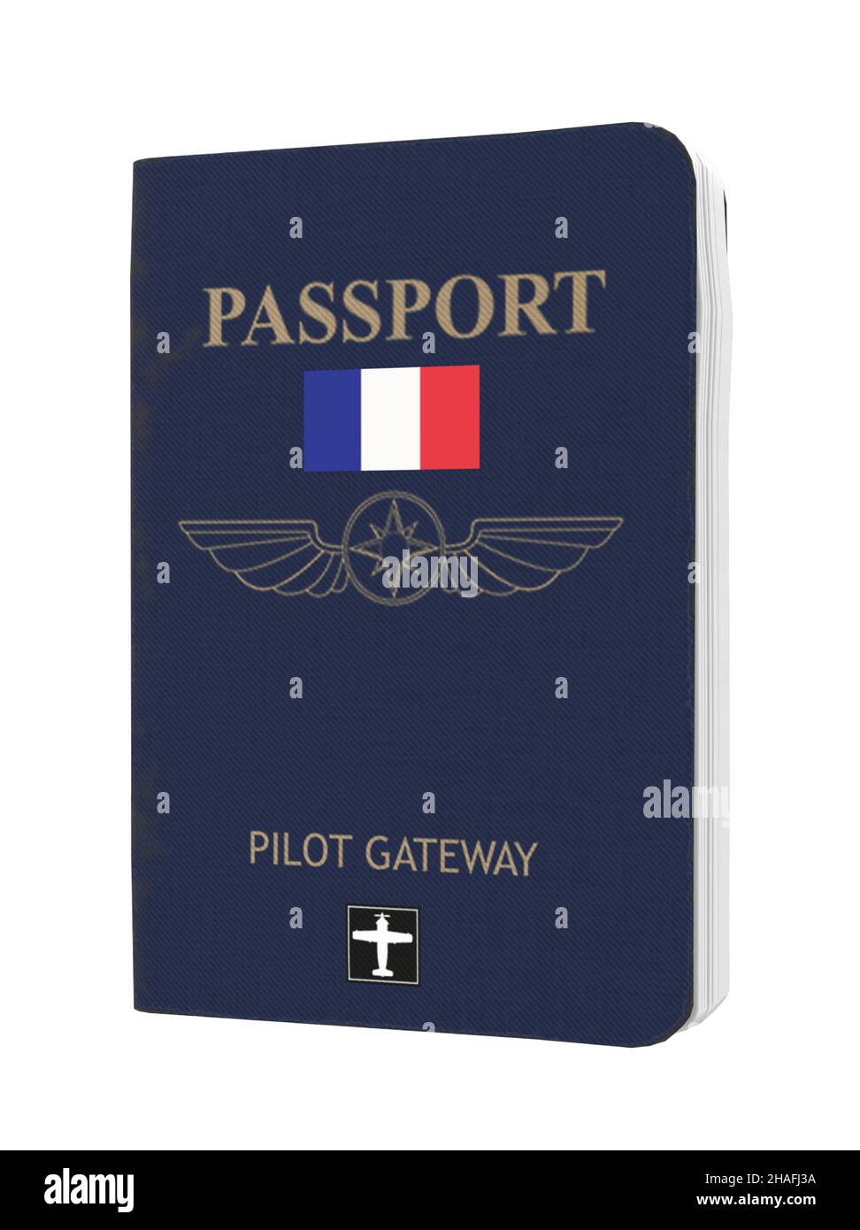 Livre de passeport du drapeau national de France Illustration de Vecteur