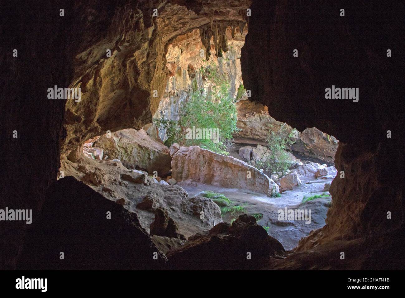 Arch Cave dans la réserve naturelle de Borenore Karst Banque D'Images