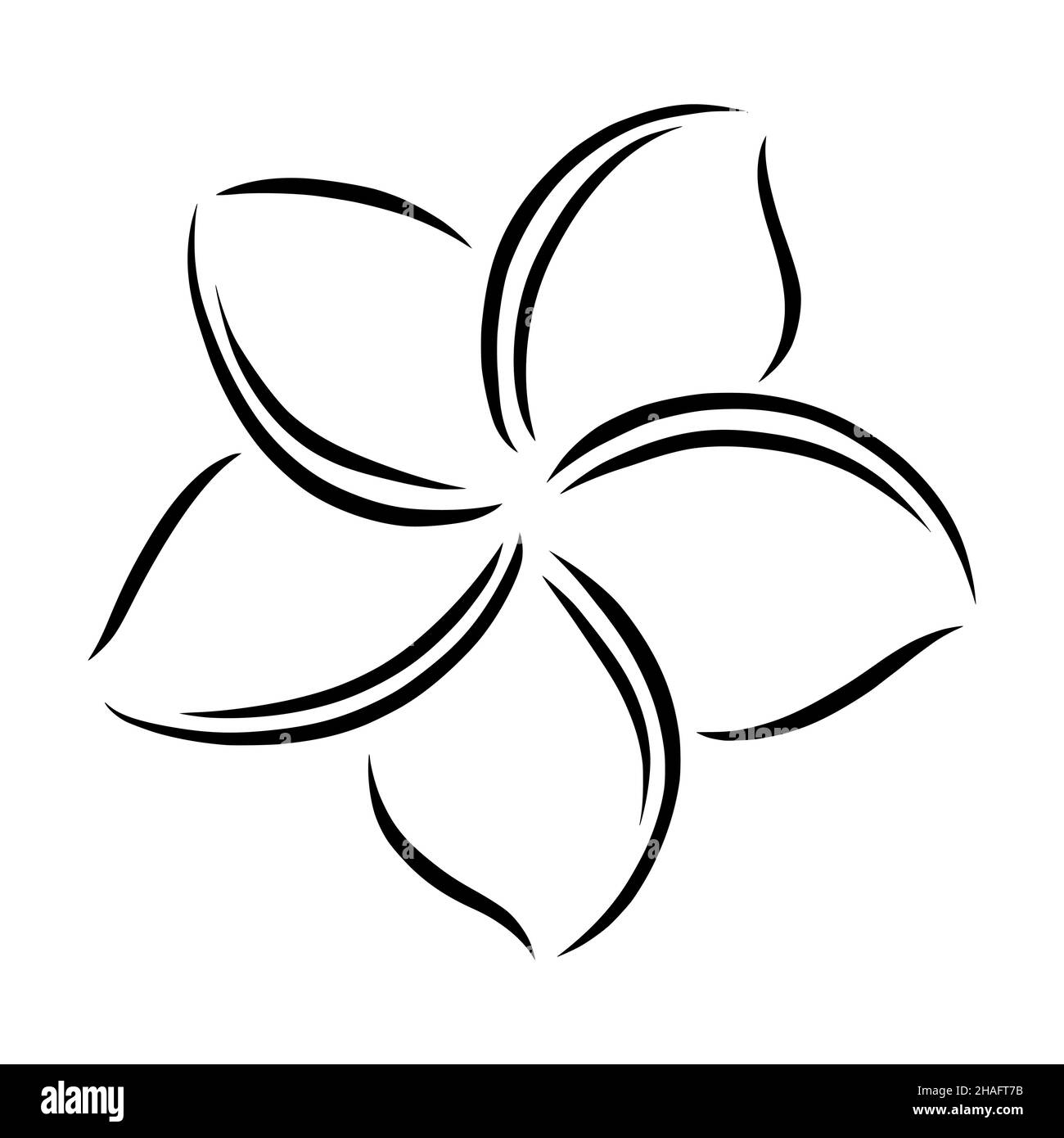 Frangipani ou plumeria fleurs exotiques d'été.Frangipani gravé isolé sur fond blanc.Illustration vectorielle Illustration de Vecteur