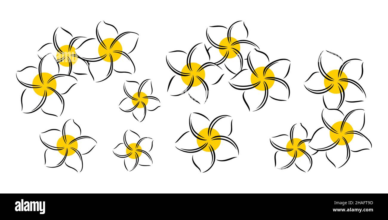 Frangipani ou plumeria fleurs exotiques d'été.Frangipani gravé isolé sur fond blanc.Illustration vectorielle Illustration de Vecteur