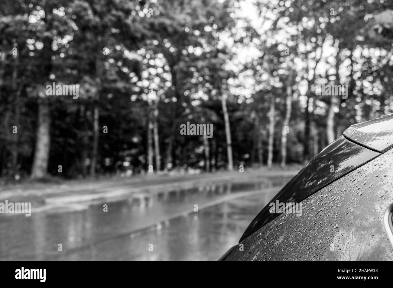 Jour pluvieux dans une forêt de parc avec l'arrière d'un véhicule stationné qui recueille des gouttelettes. Banque D'Images