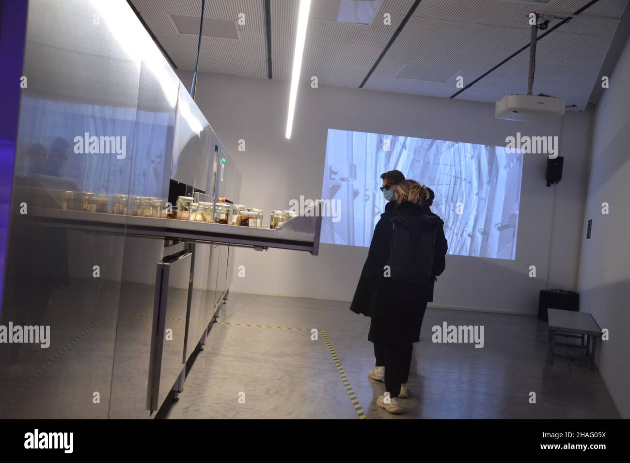 'Terre, lait, miel - histoires d'animaux dans les paysages imaginaires' - Pavillon israélien à la Biennale de l'architecture de Venise 17th en Italie - 9 novembre 2021. Banque D'Images