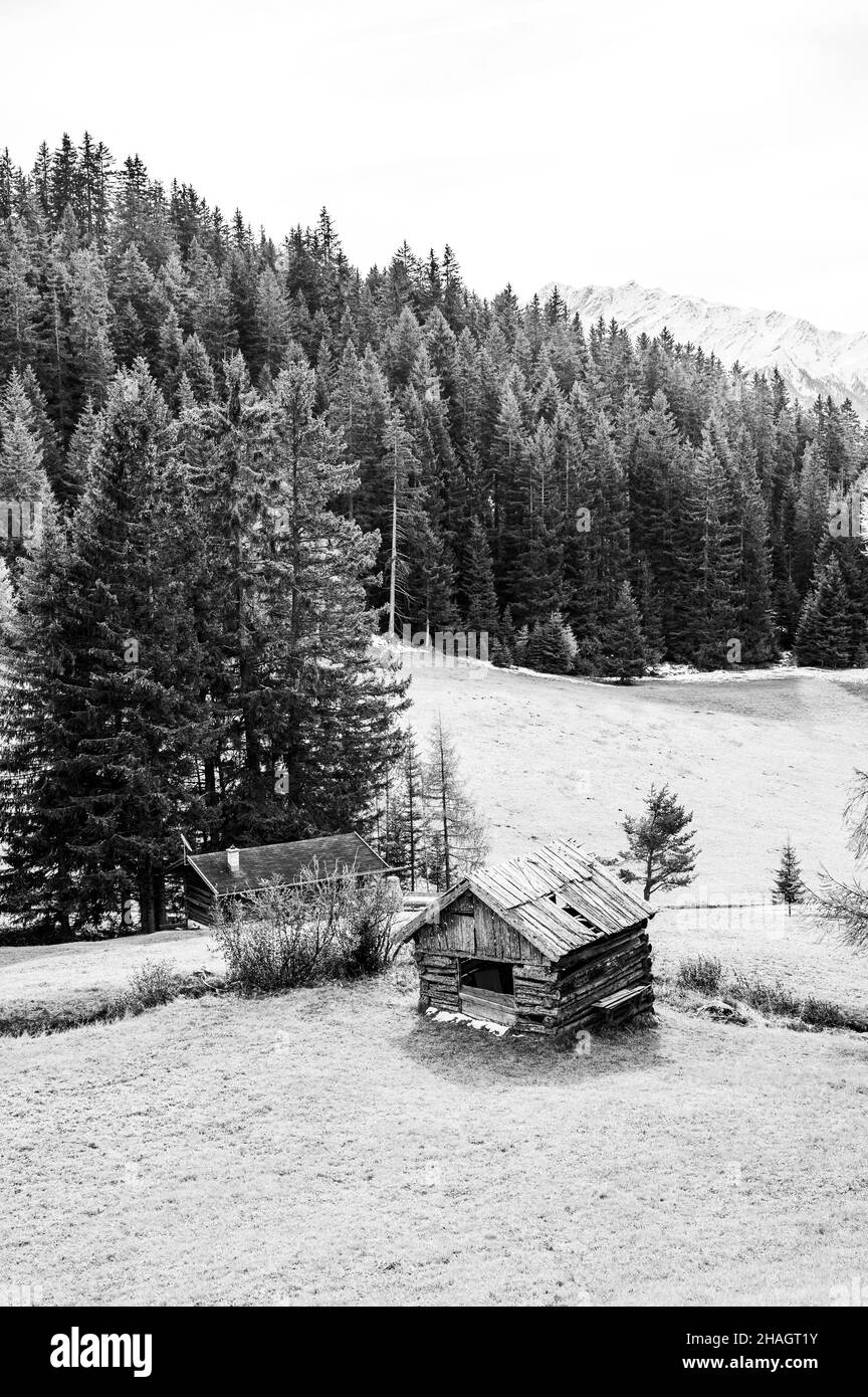 Magnifique paysage montagneux en niveaux de gris en Autriche en hiver Banque D'Images