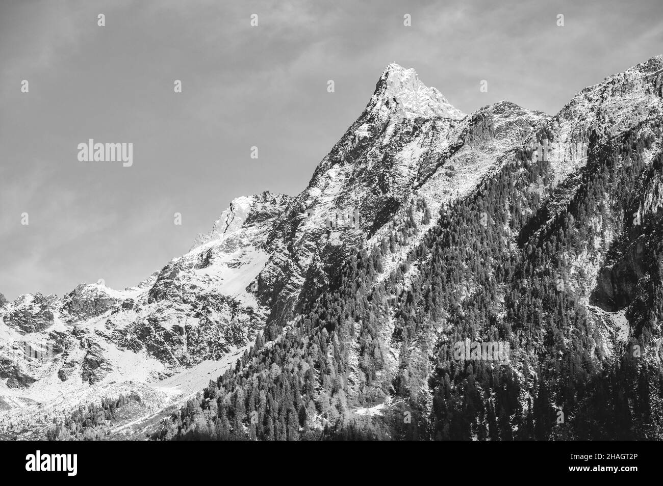 Magnifique paysage montagneux en niveaux de gris en Autriche en hiver Banque D'Images
