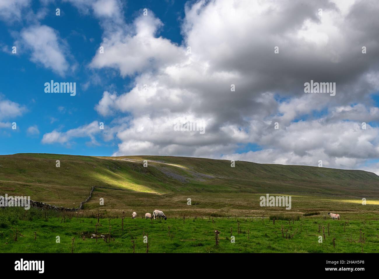 Gragareth vu de la route Turbary à Kingsdale, dans les Yorkshire Dales Banque D'Images