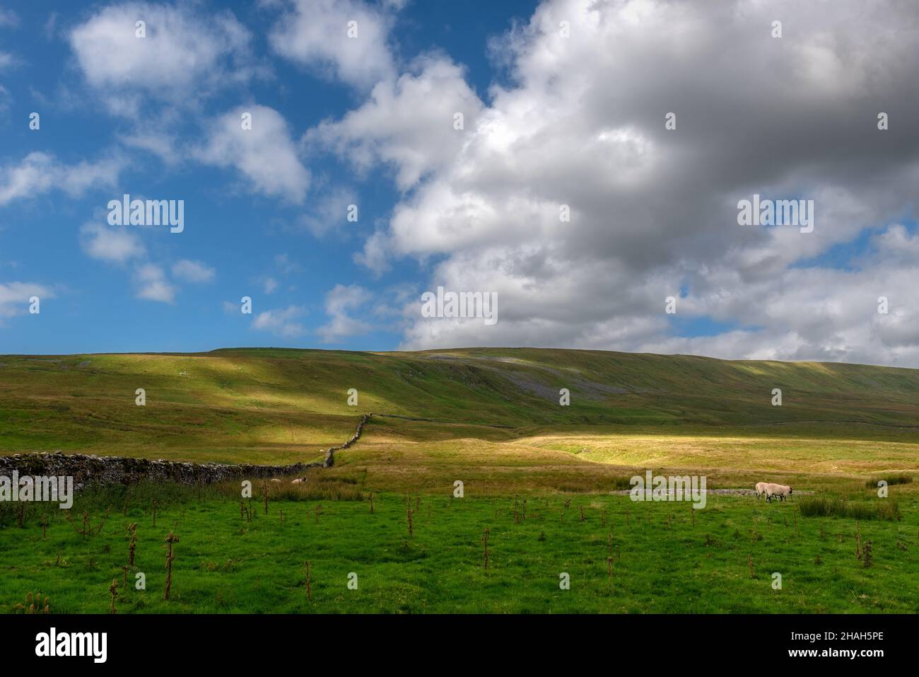 Gragareth vu de la route Turbary à Kingsdale, dans les Yorkshire Dales Banque D'Images