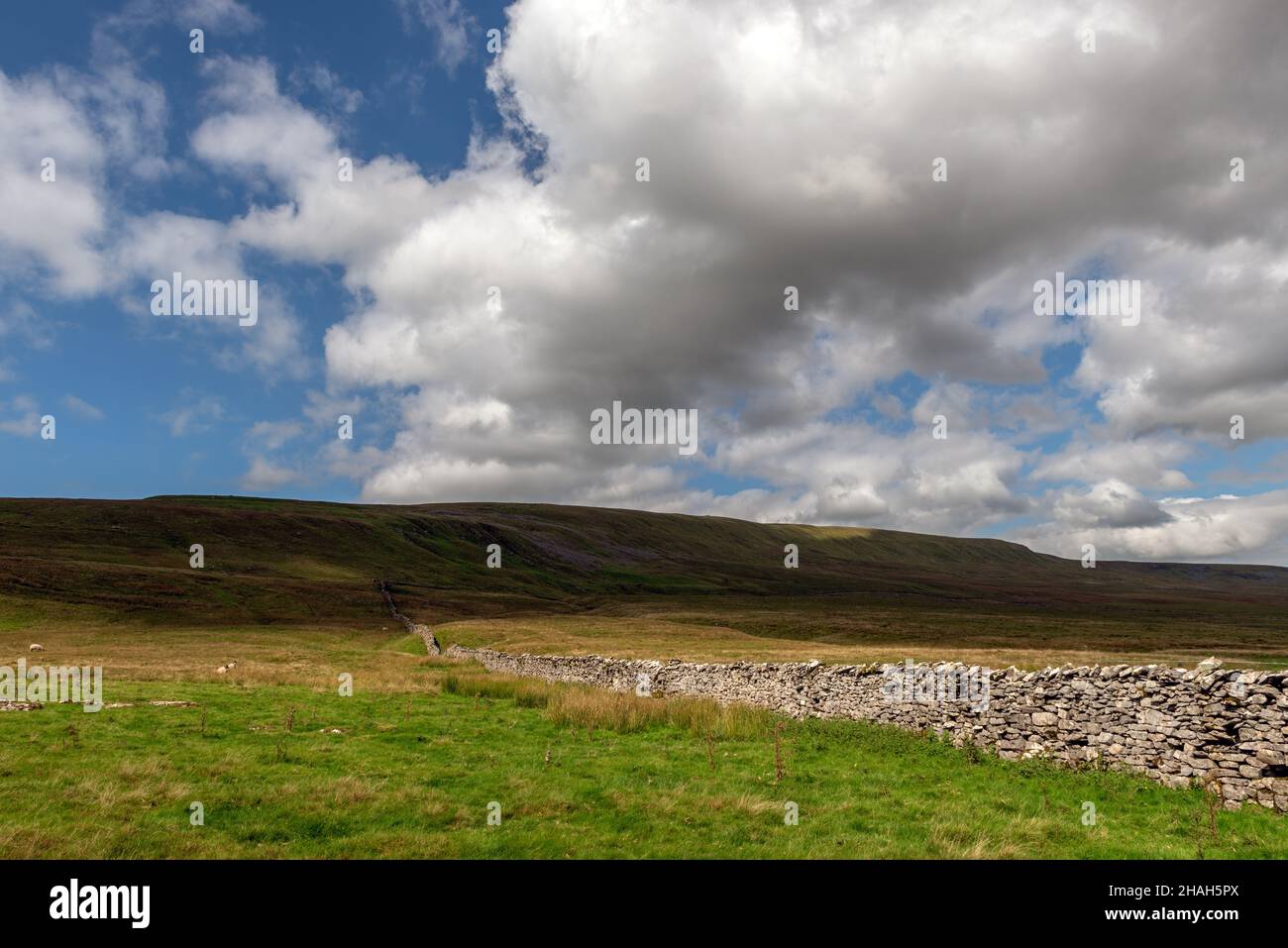 Gragareth vu de la route Turbary à Kingsdale, dans les Yorkshire Dales Banque D'Images