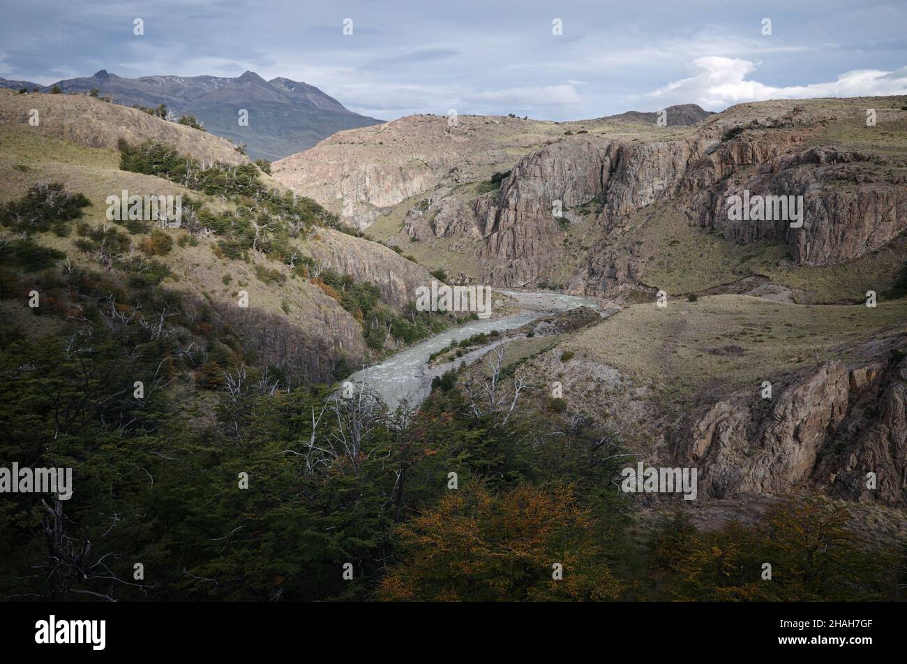 Vue sur la rivière Fitz Roy depuis le sentier de randonnée allant du lac Laguna Torre à El Chalten.Vue sur la rivière dans le canyon sur la route touristique dans le parc national de Los Glaciares Banque D'Images
