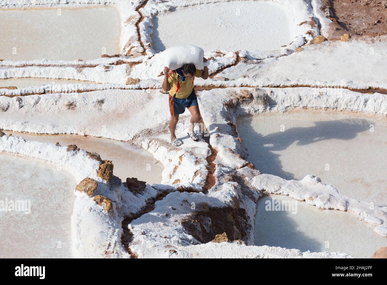 Salines à Salinas.Un ouvrier porte du sel le long des terrasses. Banque D'Images