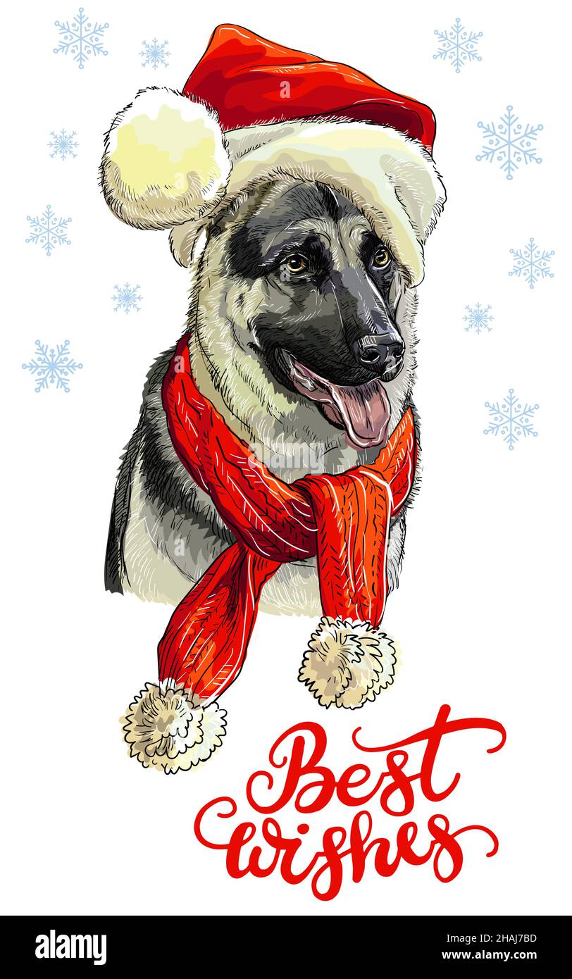 Carte de vœux.Portrait de berger allemand amusant avec foulard et chapeau de Noël avec flocons de neige et lettrage.Illustration vectorielle.Pour la décoration, le design Illustration de Vecteur