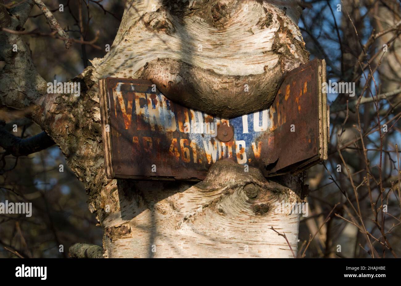 Signe rouillé avec en néerlandais les mots interdit entrée cloué à un arbre, cultivé dans l'écorce. Presque illisible Banque D'Images