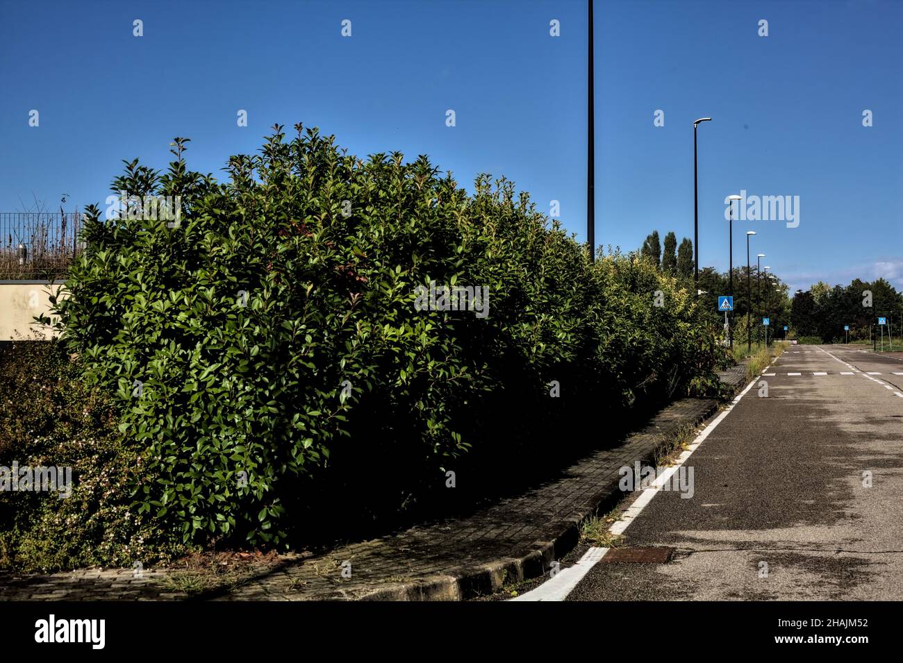 Route à l'extrémité morte avec feu de rue allumé par temps clair Banque D'Images