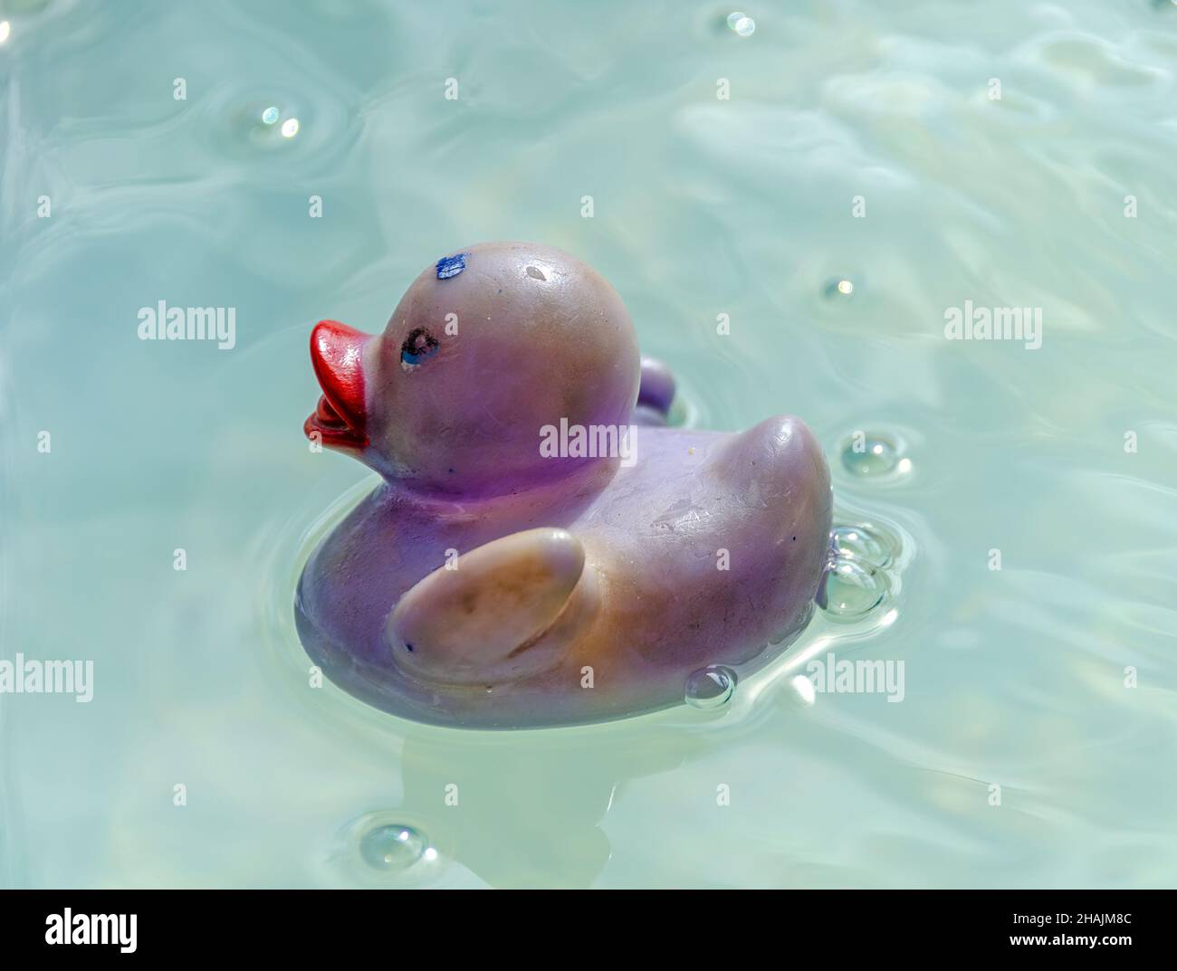 le canard en plastique aux couleurs décolorées tourbillonne dans l'eau de mer Banque D'Images
