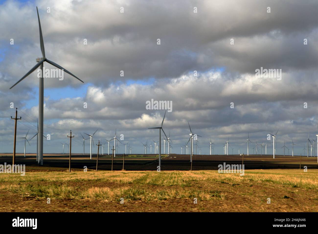 Champ d'éoliennes dans le plateau de Casimcei, comté de Constanța, Roumanie Banque D'Images