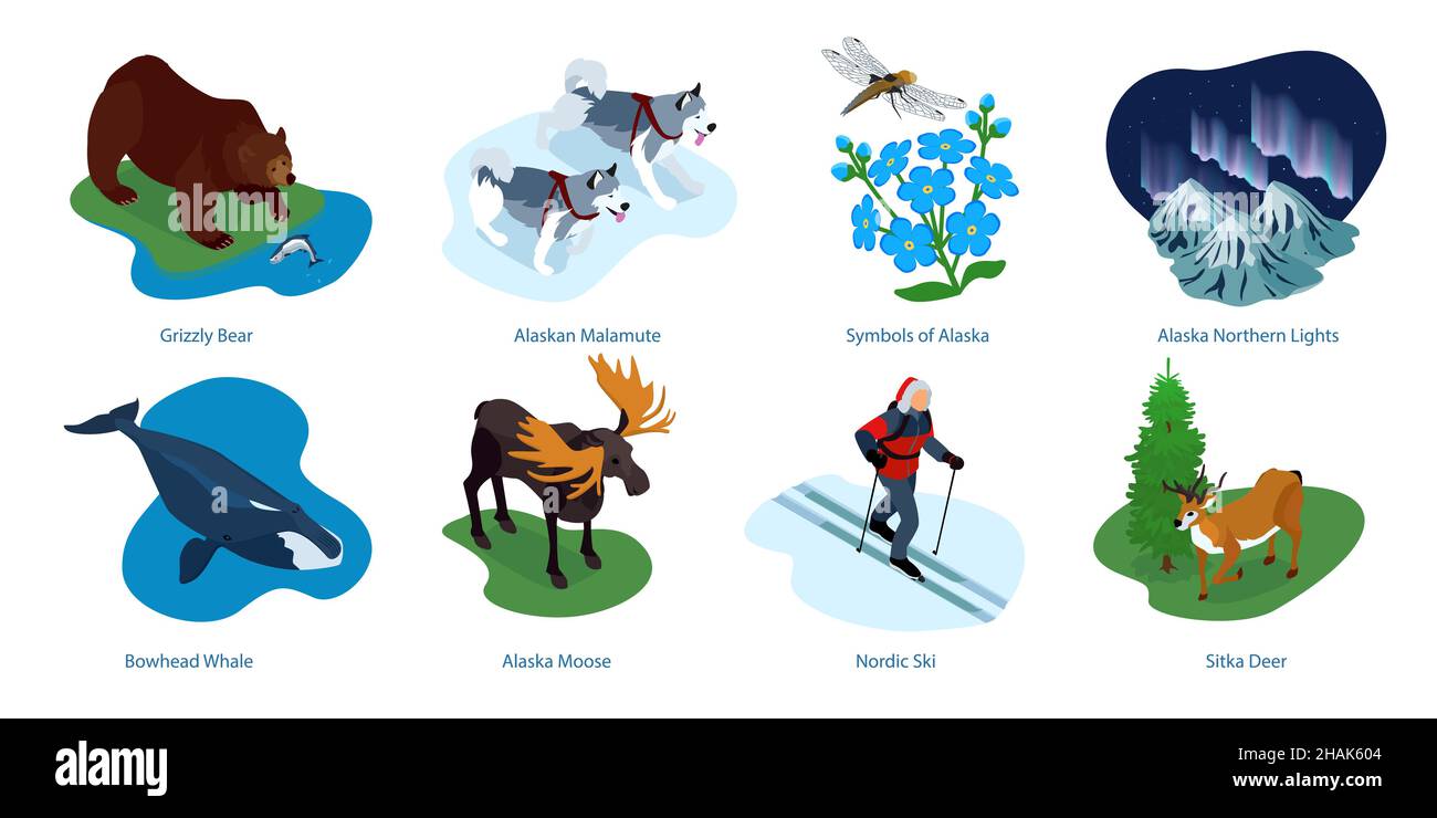 Alaska compositions isométriques avec le ski nordique chiens malamute lumières nordiques grizzly ours baleine boréale cerf illustration vectorielle Illustration de Vecteur