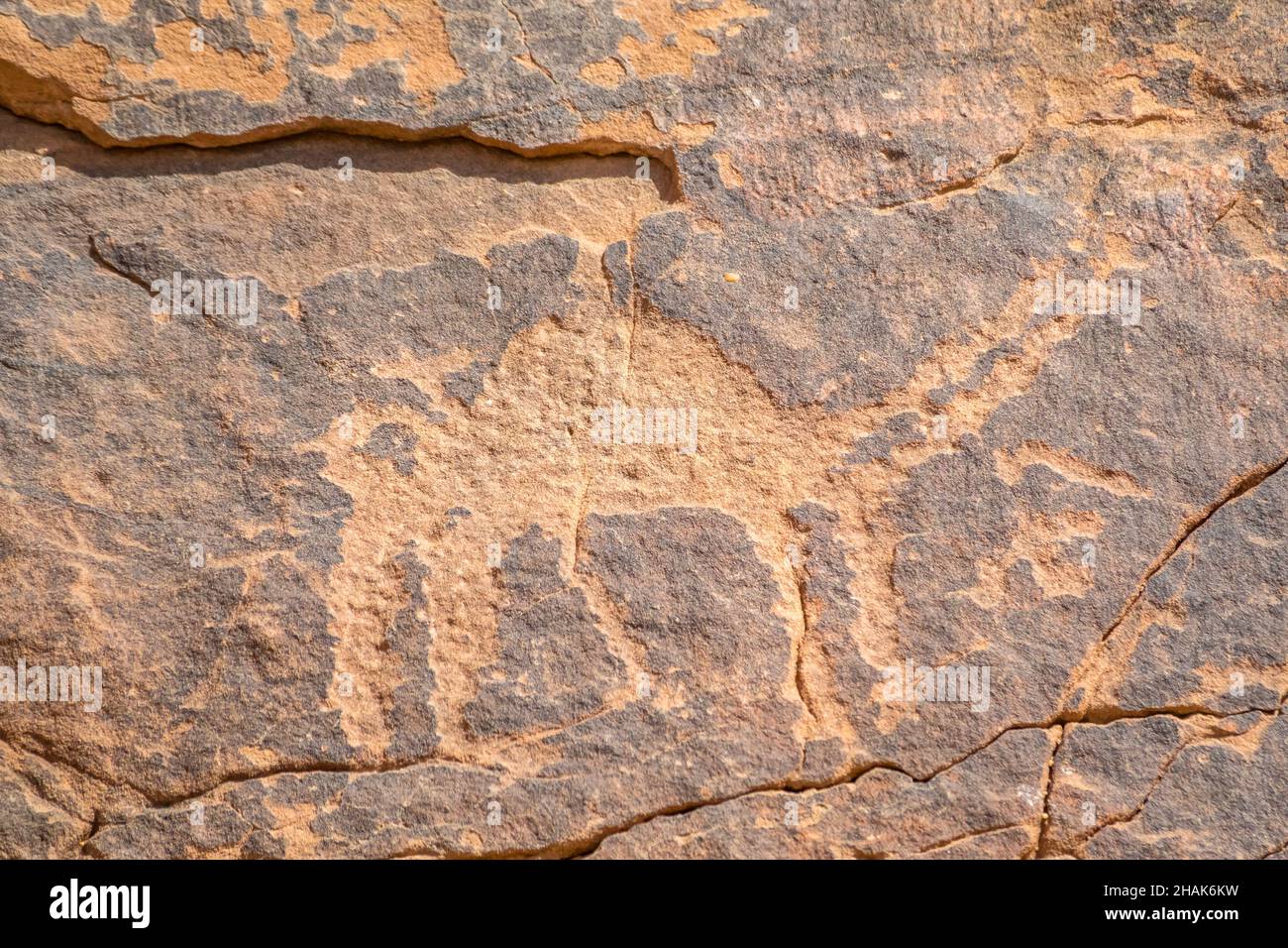 Jabal Umm Sanman Rock Art à Jubbah Arabie Saoudite datant de 10000 ans, région de Hail site du patrimoine mondial de l'UNESCO, Banque D'Images