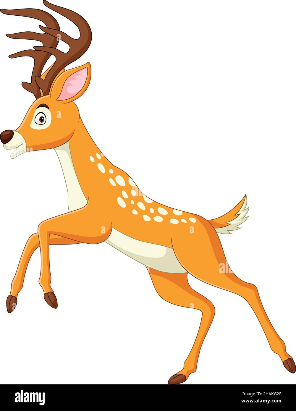 Dessin animé cerf drôle posant sur fond blanc Illustration de Vecteur