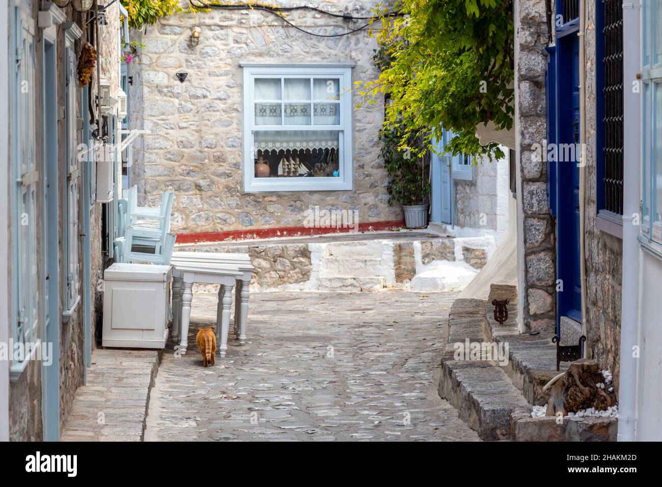 Une rue pittoresque de maisons blanchies à la chaux et de boutiques dans le village de la petite île grecque d'Hydra, en Grèce. Banque D'Images