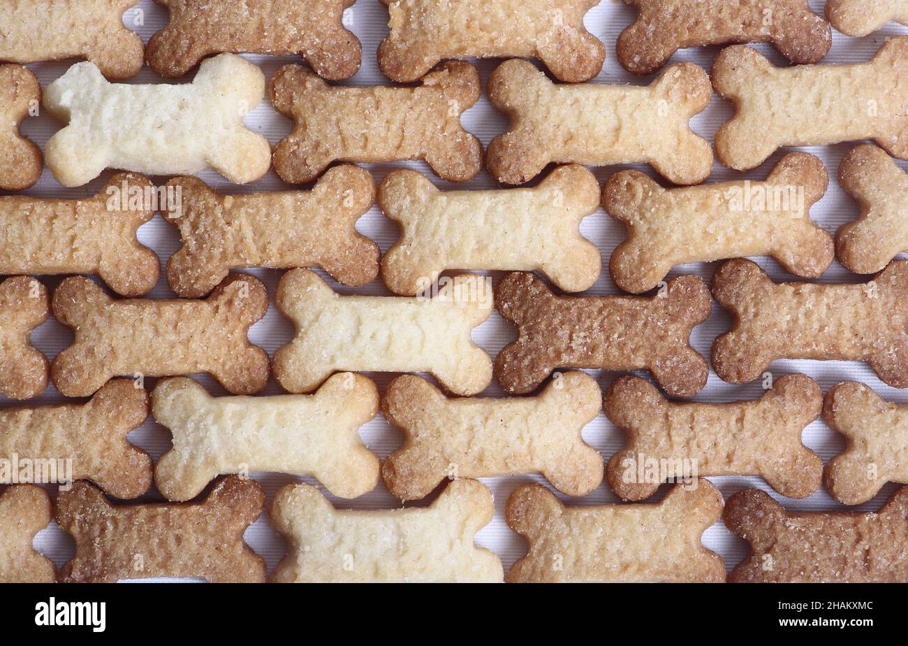 arrière-plan abstrait des biscuits en forme d'os plat Banque D'Images