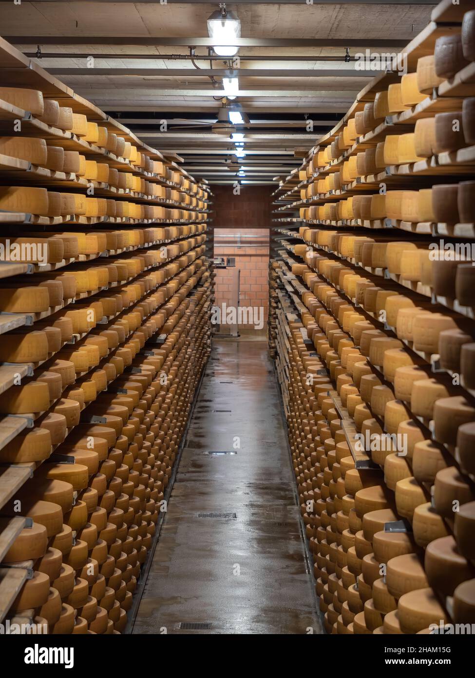 Gruyères, Suisse - 23 novembre 2021 : fromage vieillissant dans une cave de l'usine de fromage de la Maison du Gruyère en Suisse. Banque D'Images
